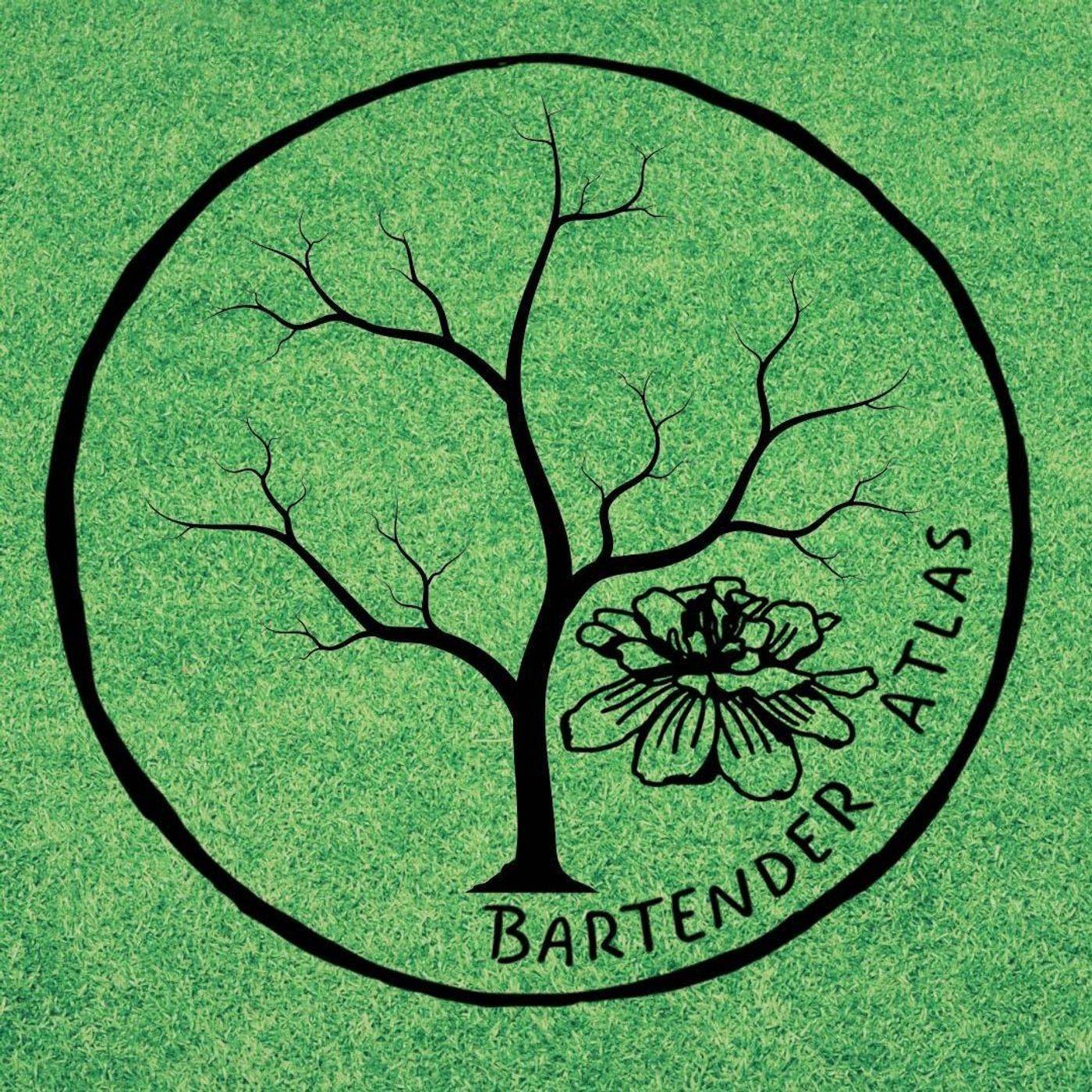 Branching Out