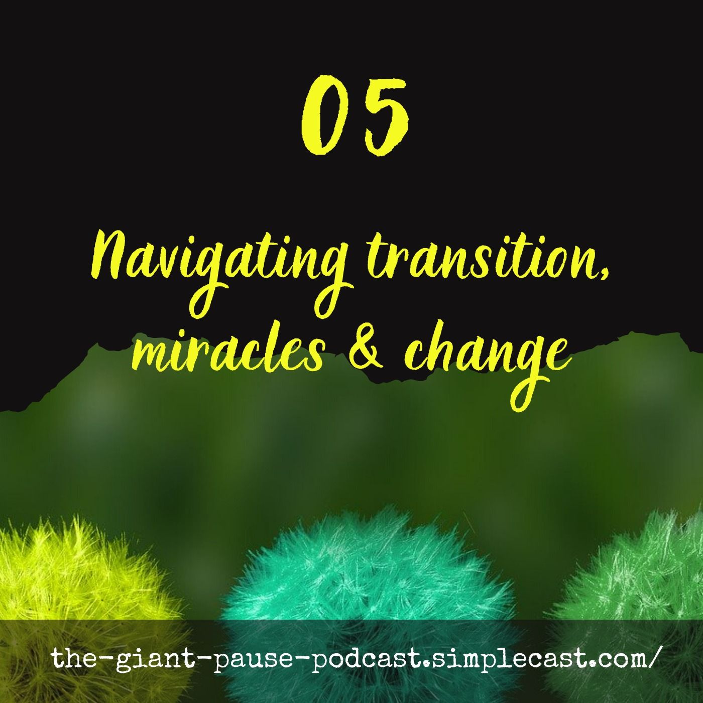 Navigating Transition, Miracles and Change