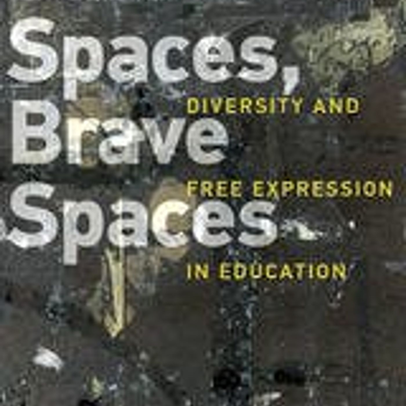 Safe Spaces, Brave Spaces: Diversity and Free Expression in Education