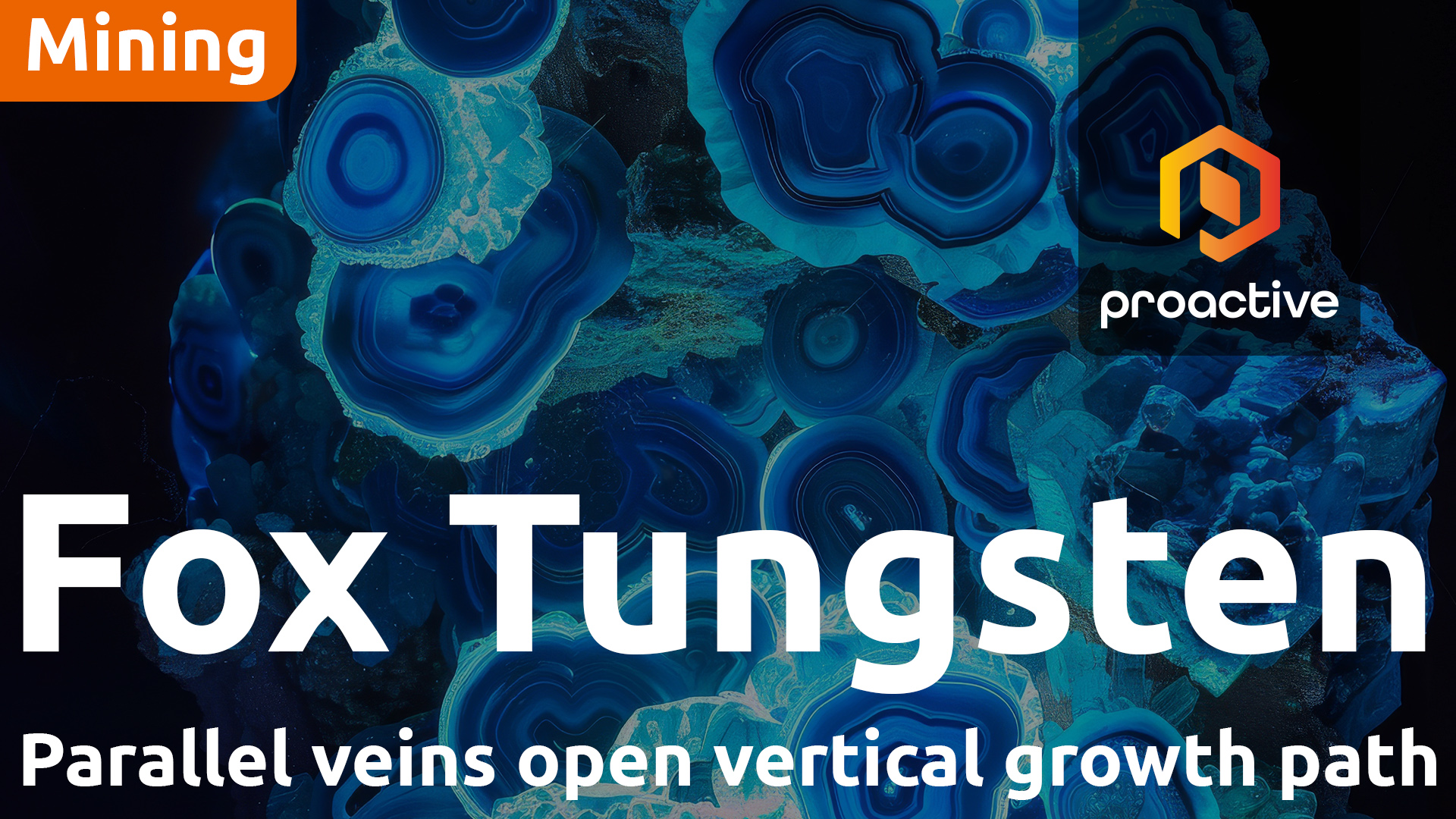 Fox Tungsten intersects visible Scheelite across multiple drill targets at Fox project