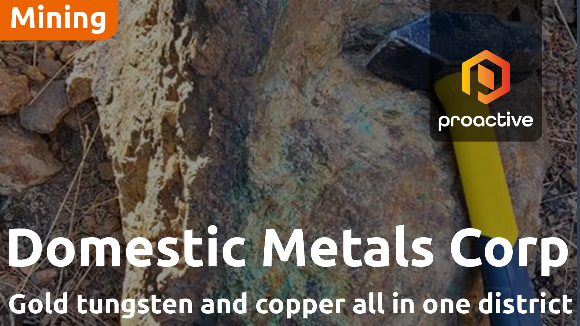 Domestic Metals' Smart Creek Project: Geologist sees high-potential gold-tungsten skarn target