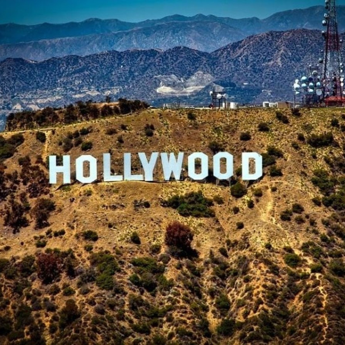 Hollywooded
