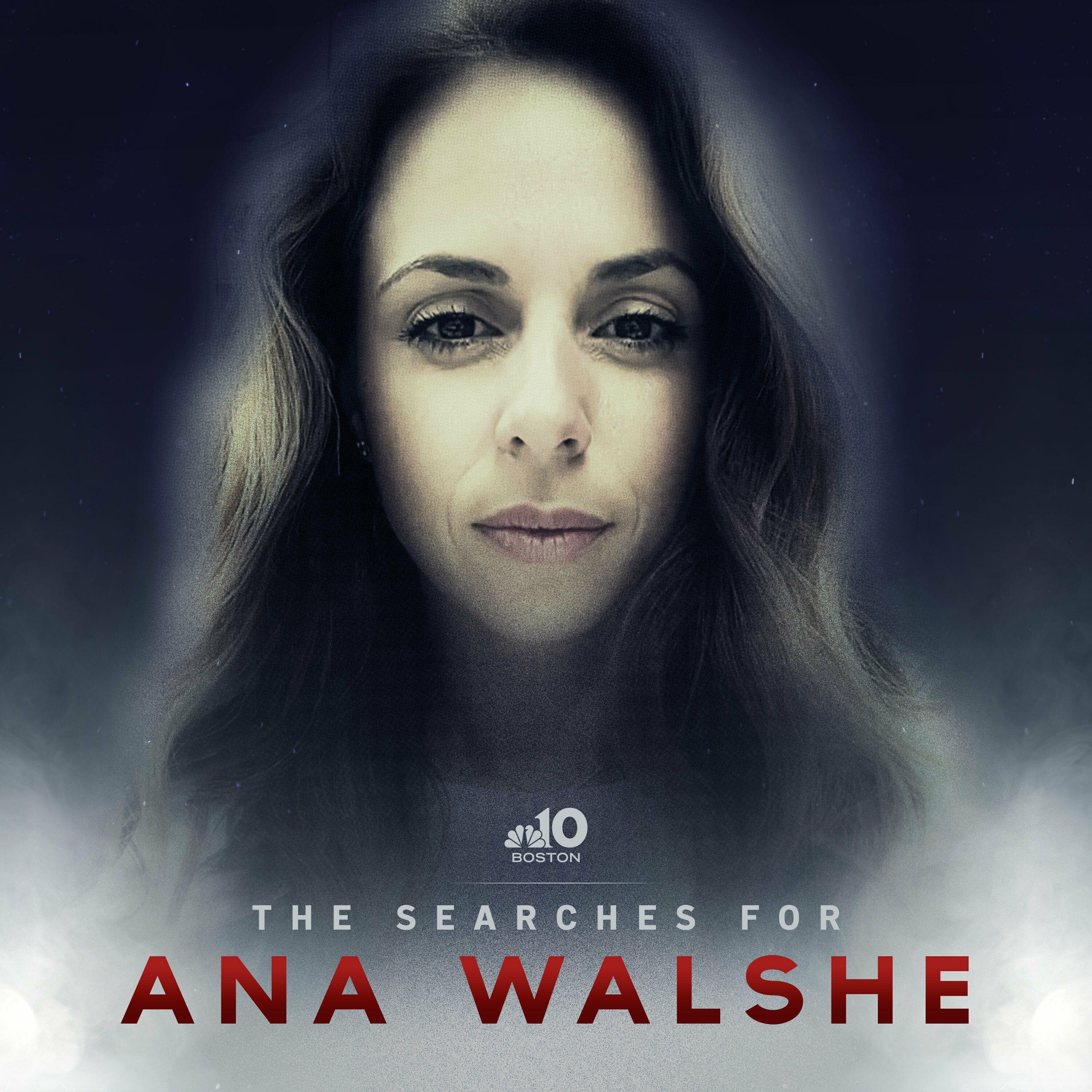 DNA testing in Walshe murder case nearing completion at state lab