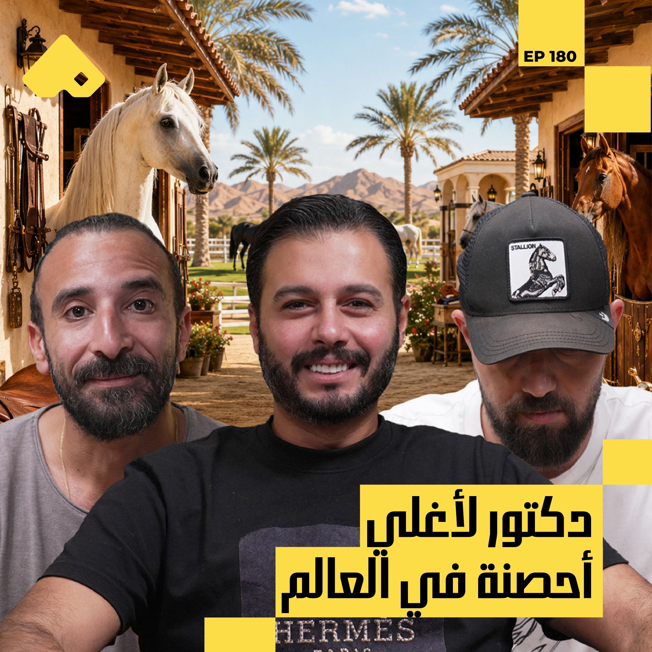 رحلة حاتم ستين وراء حلم الخيل | د.حاتم ستين مع البودكاسترز