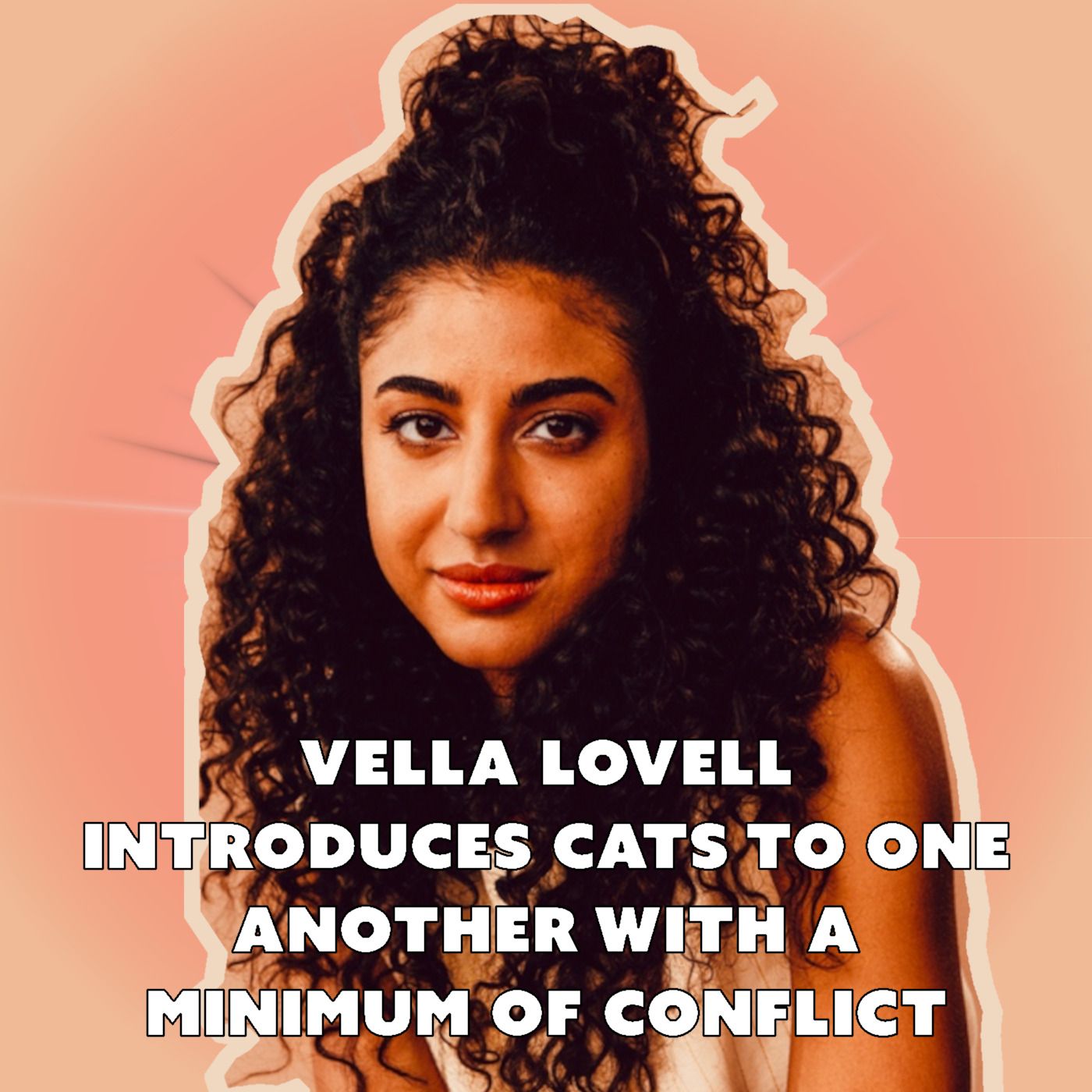 Vella Lovell Slowly and Carefully Introduces a New Cat to an Old Cat artwork