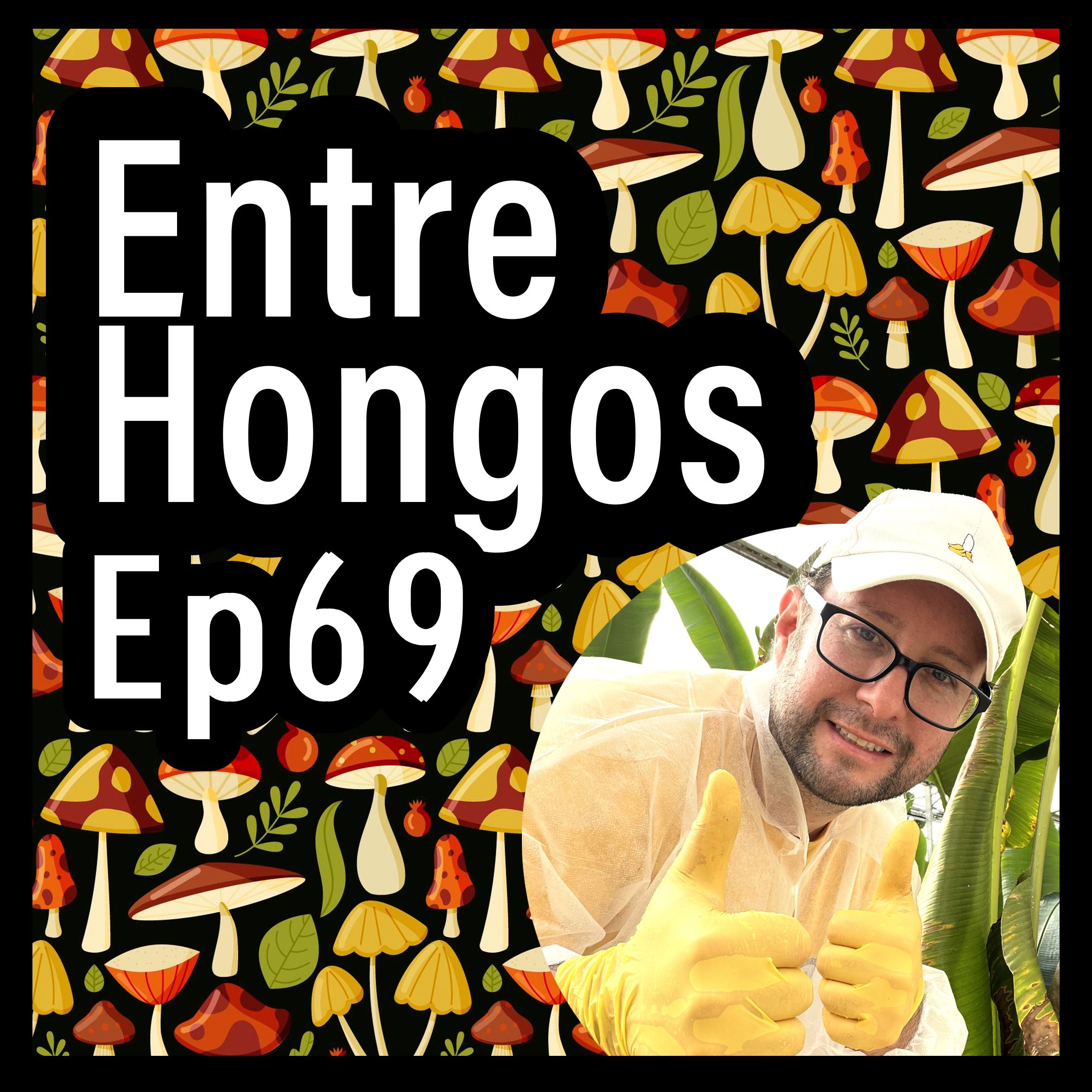 Entre Hongos Ep. 69 - Desarrollando una nueva variedad de plátano resistente a Fusarium TR4 (Dr. Banana a.k.a. Dr. Fernando García-Bastidas) episode artwork