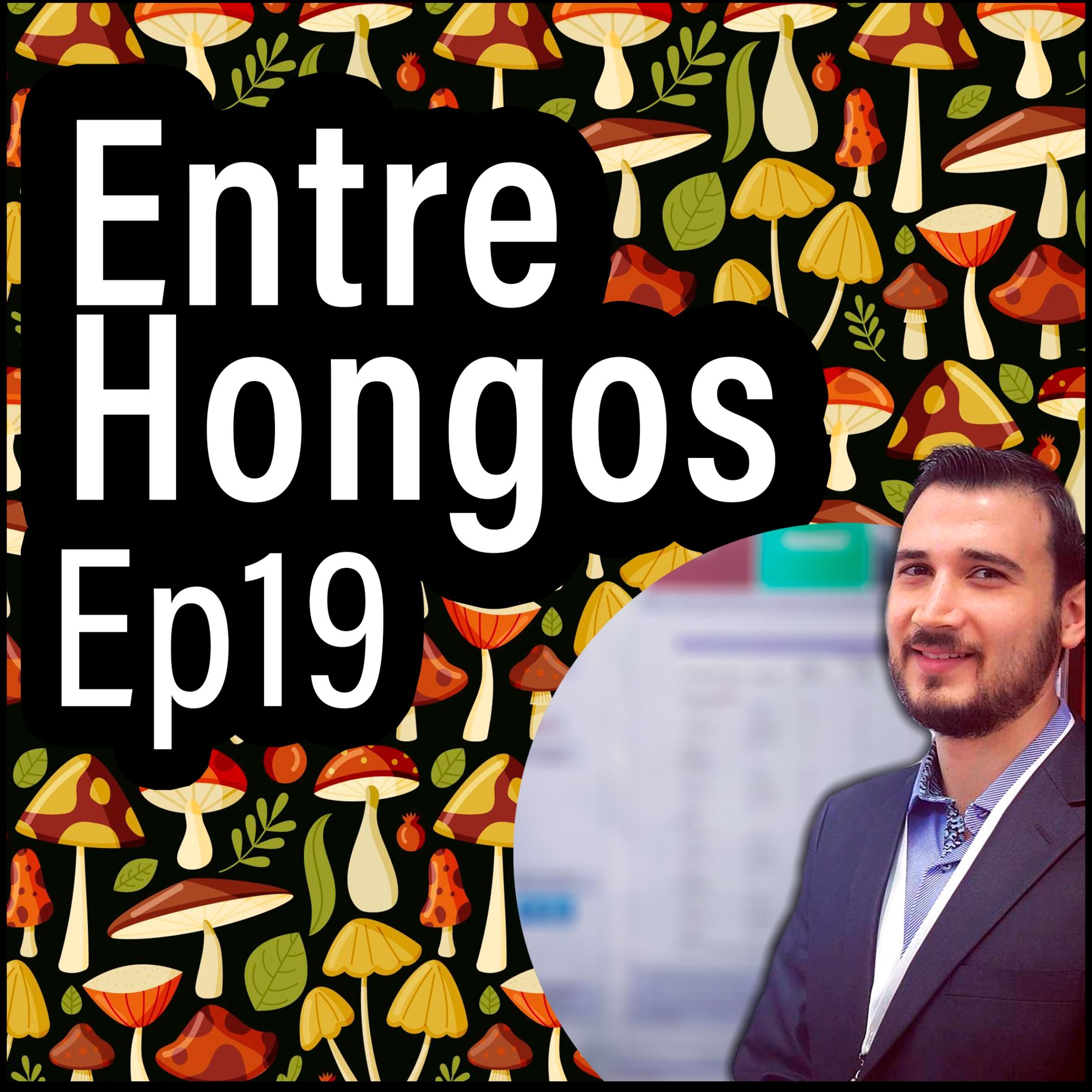 Entre Hongos