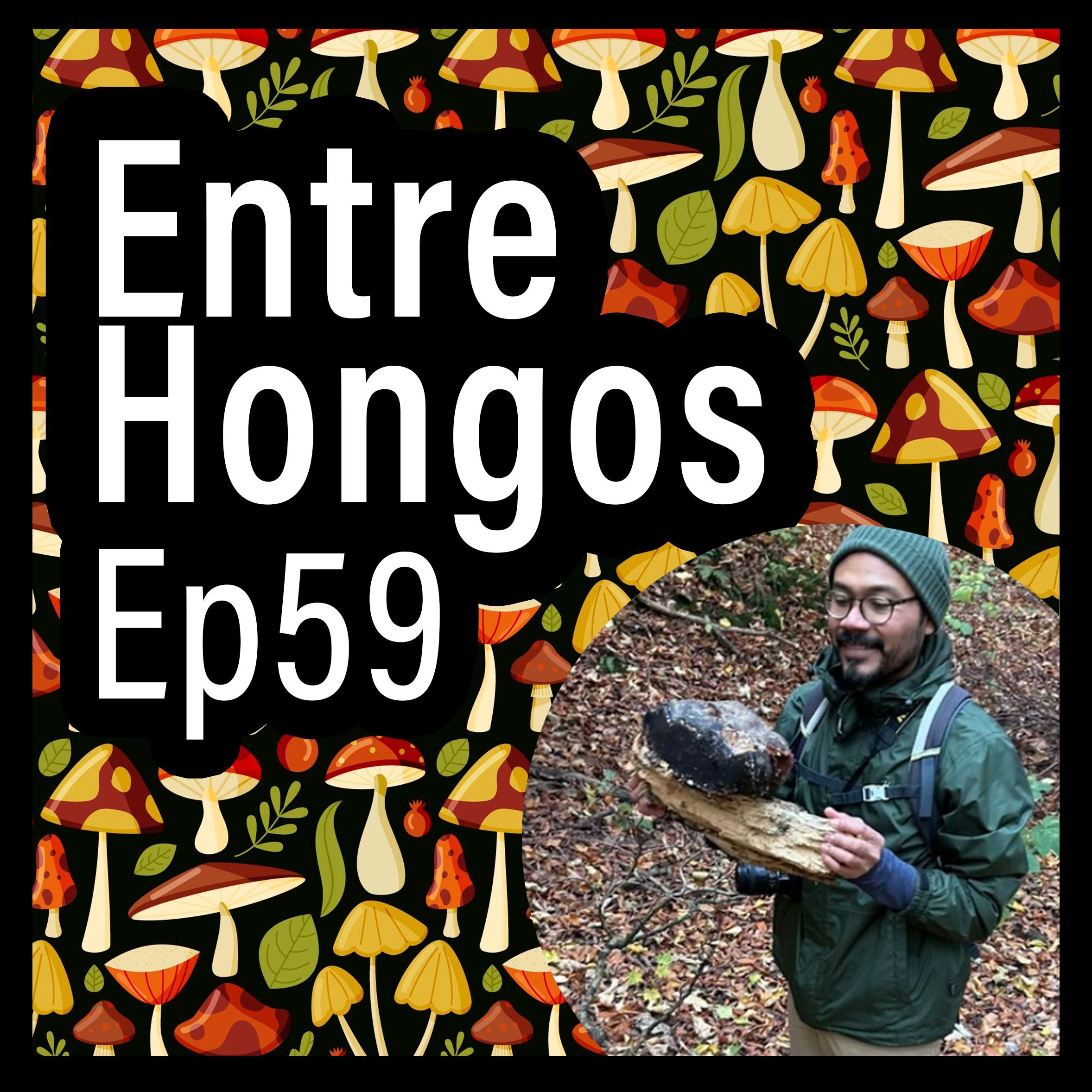 Entre Hongos