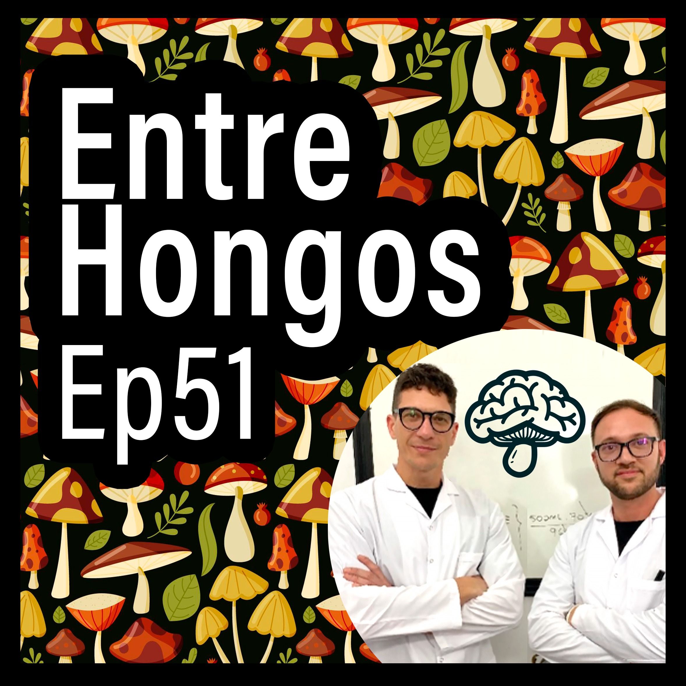 Entre Hongos