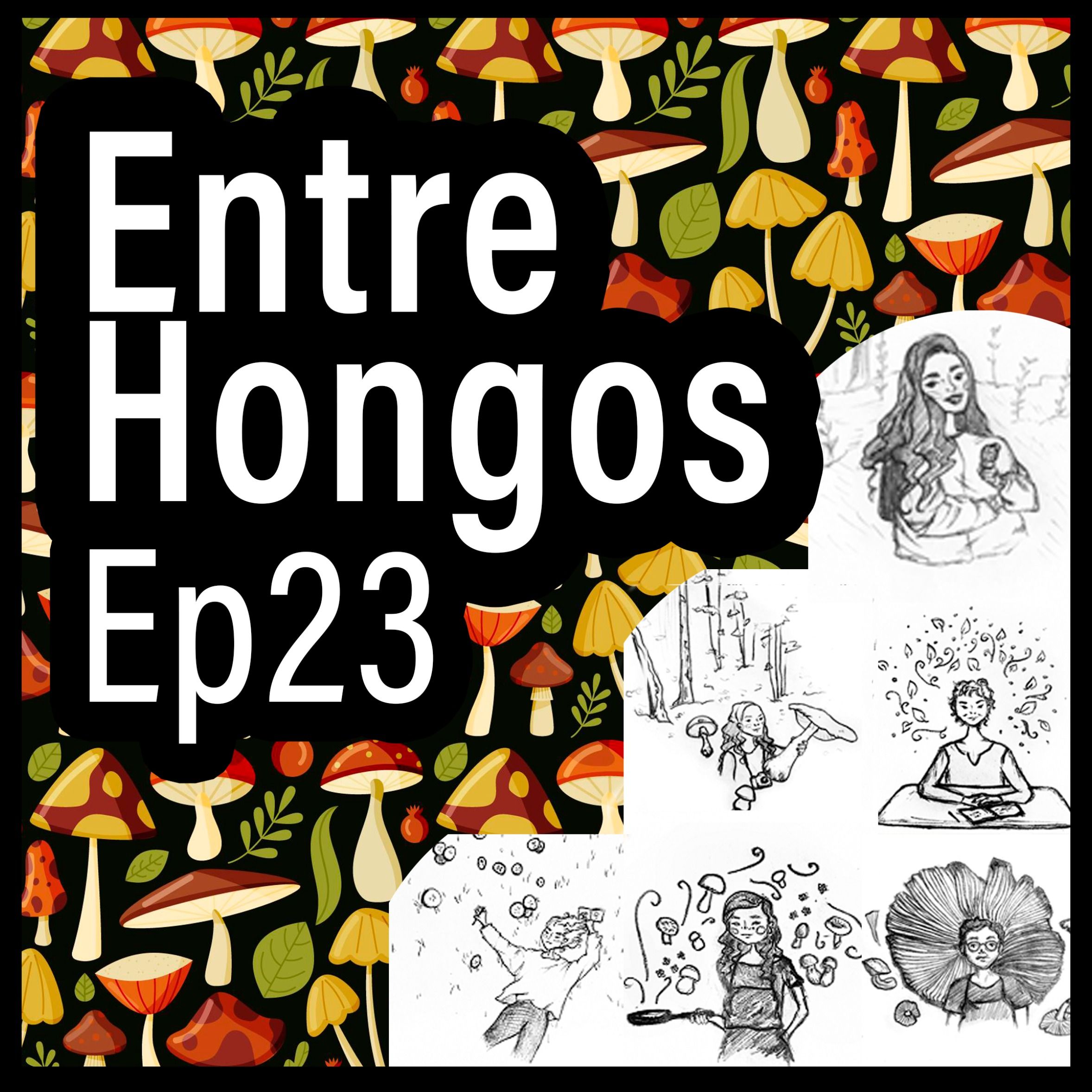 Entre Hongos