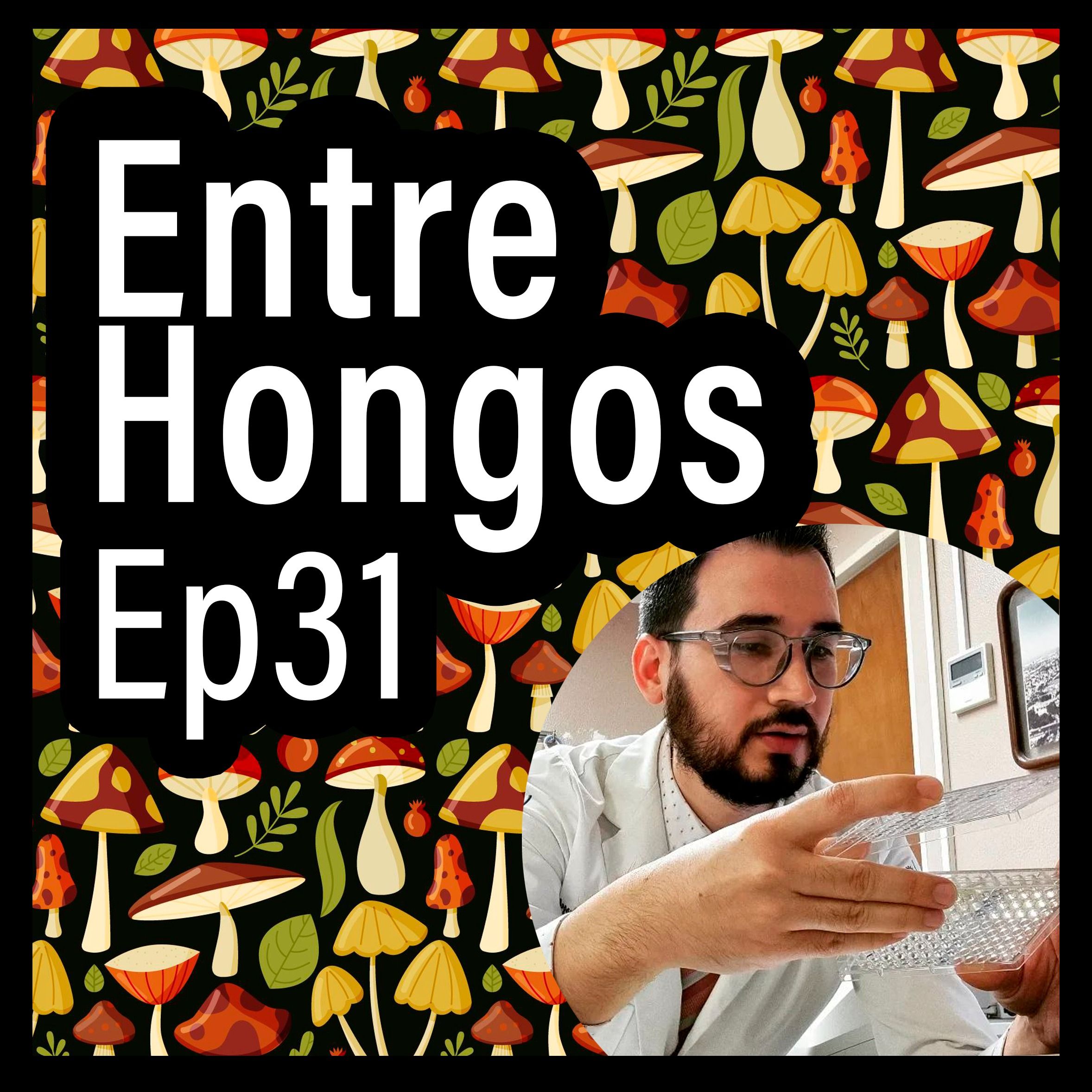 Entre Hongos