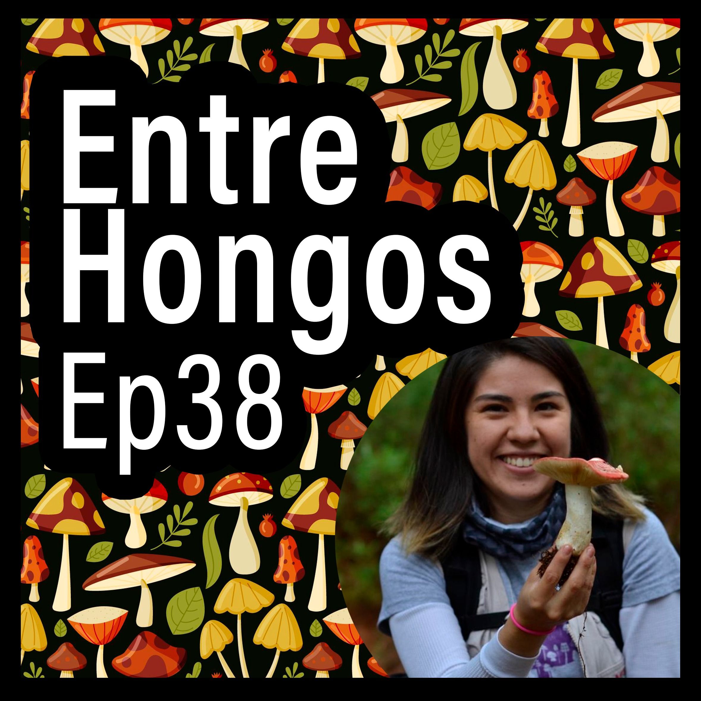 Entre Hongos