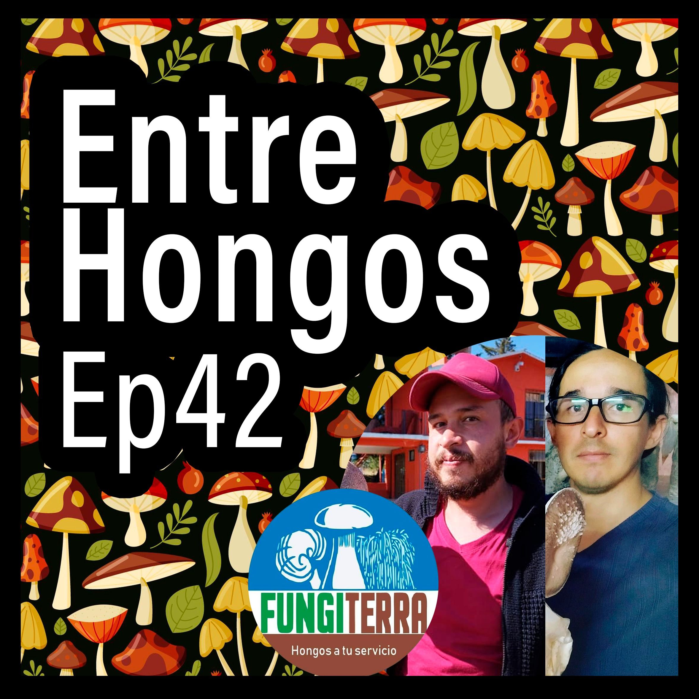 Entre Hongos