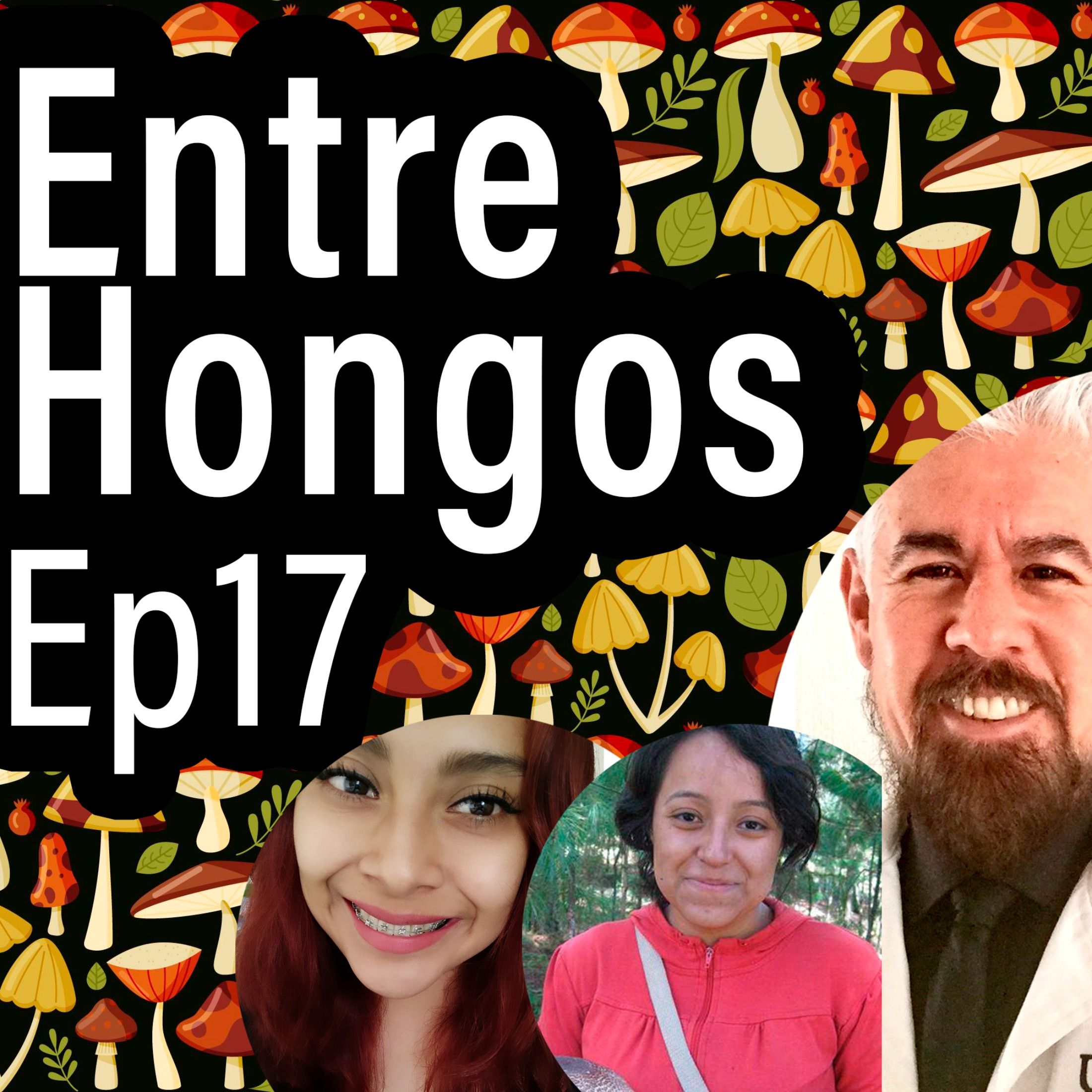Entre Hongos