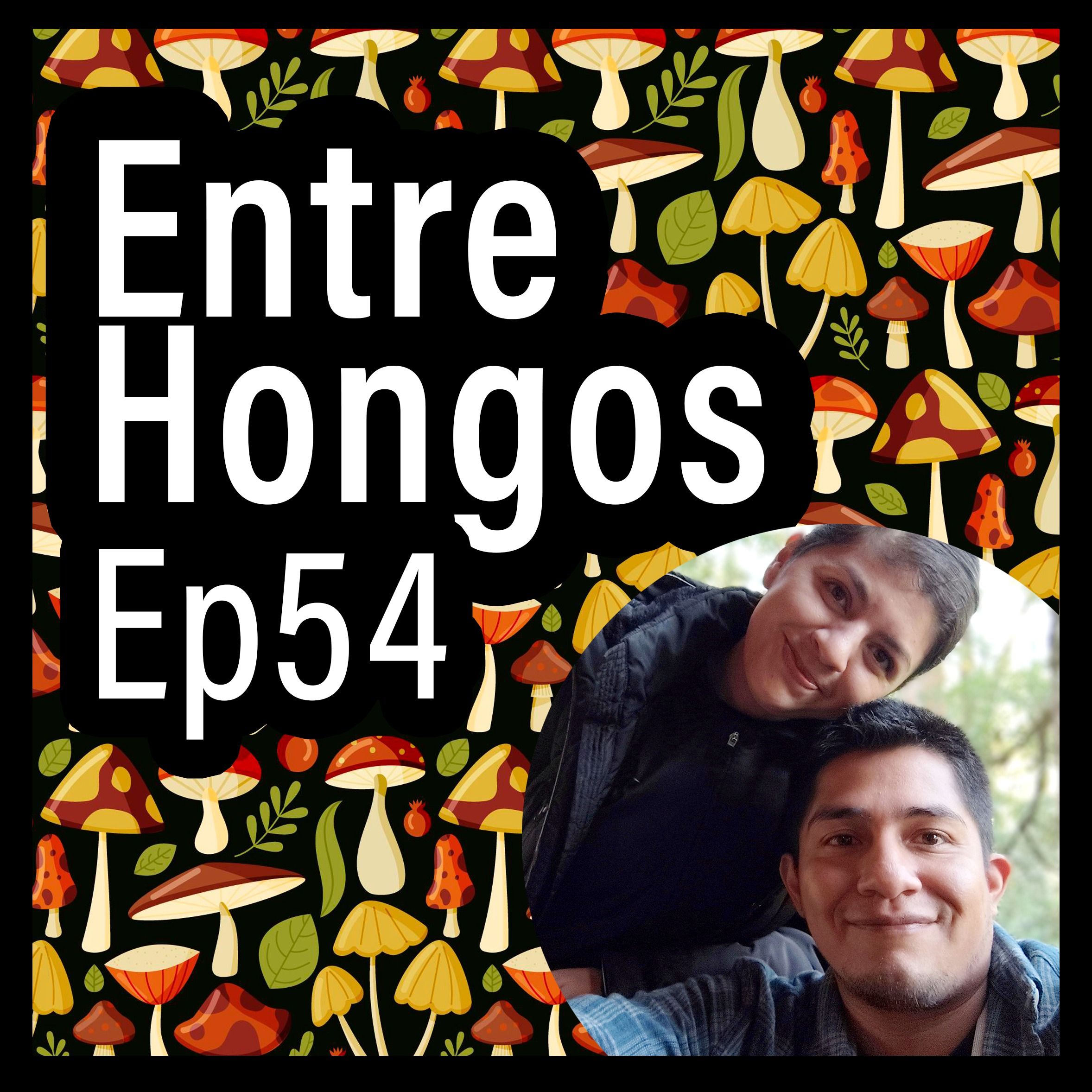 Entre Hongos