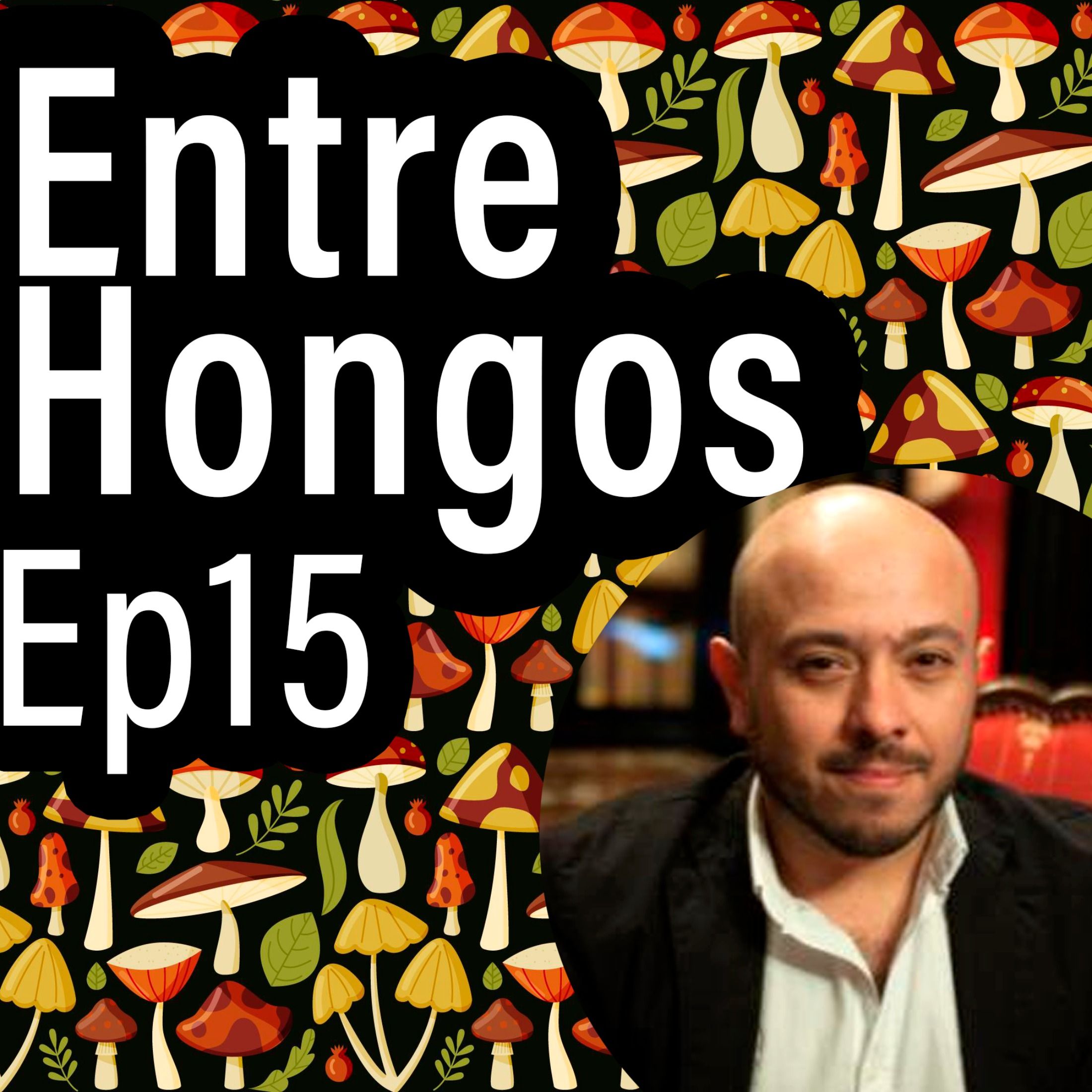 Entre Hongos