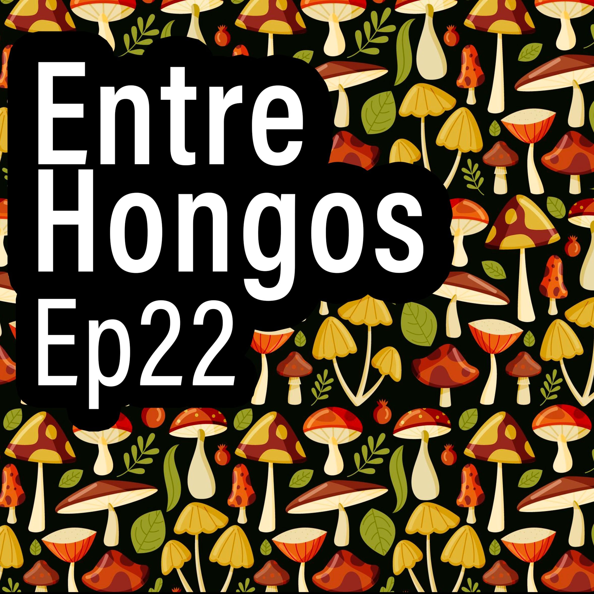 Entre Hongos