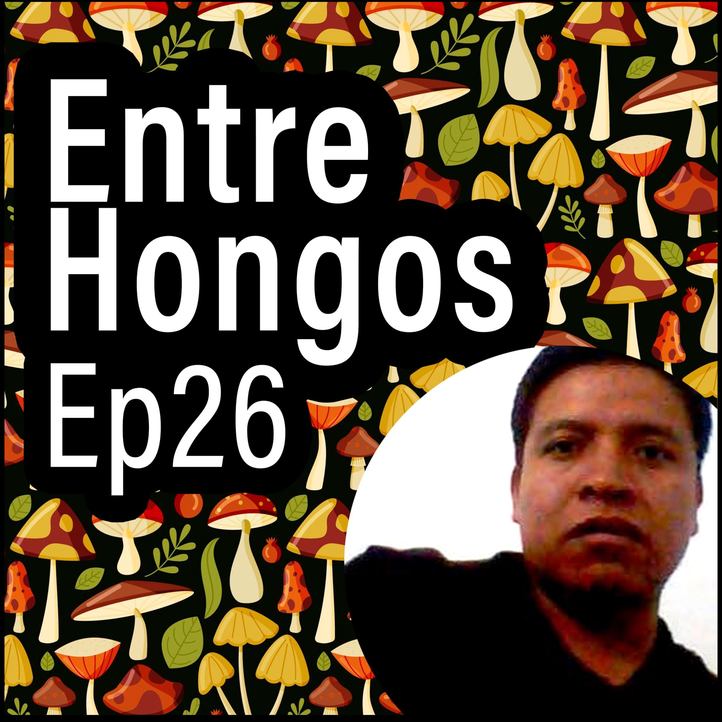 Entre Hongos