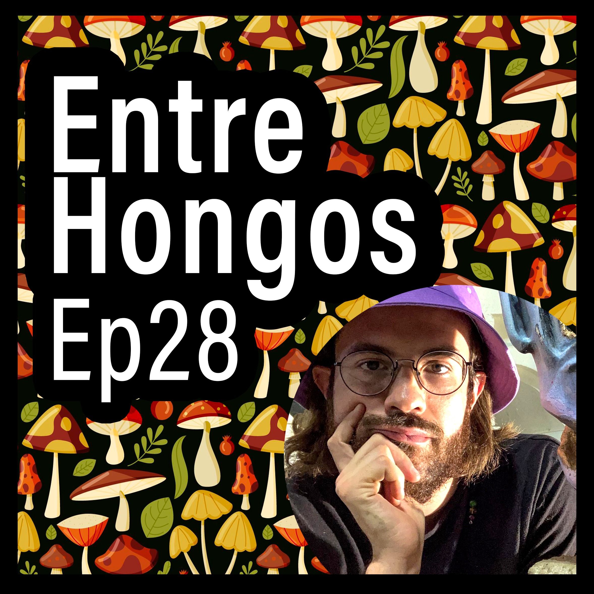Entre Hongos