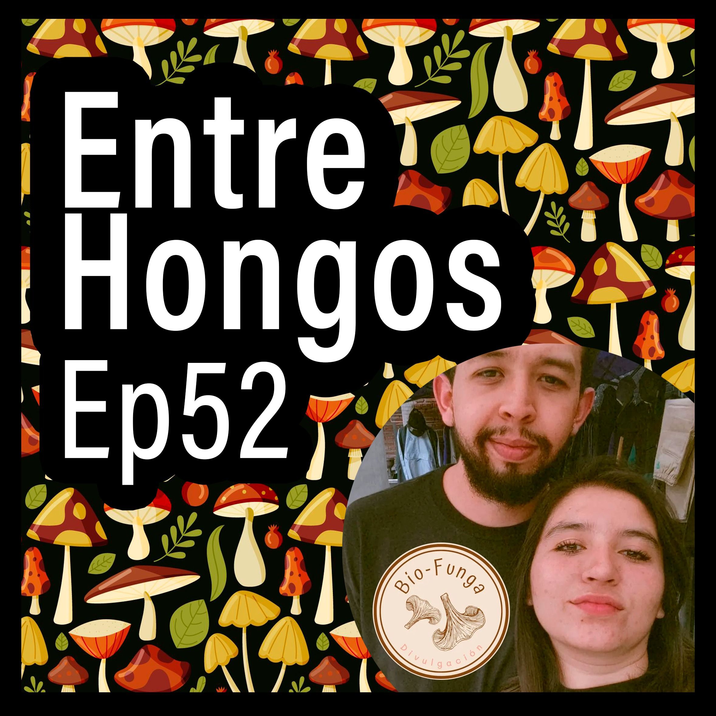 Entre Hongos