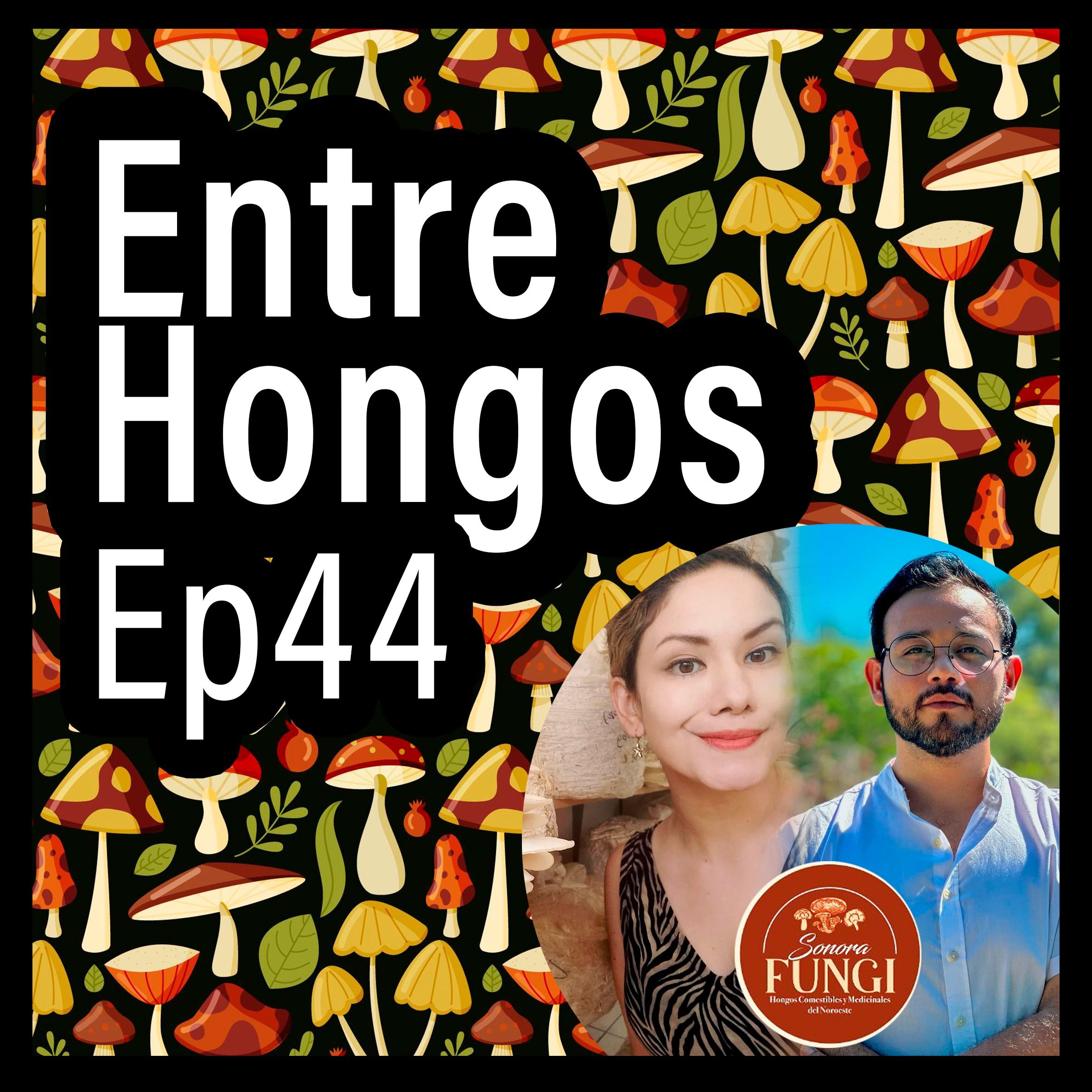 Entre Hongos