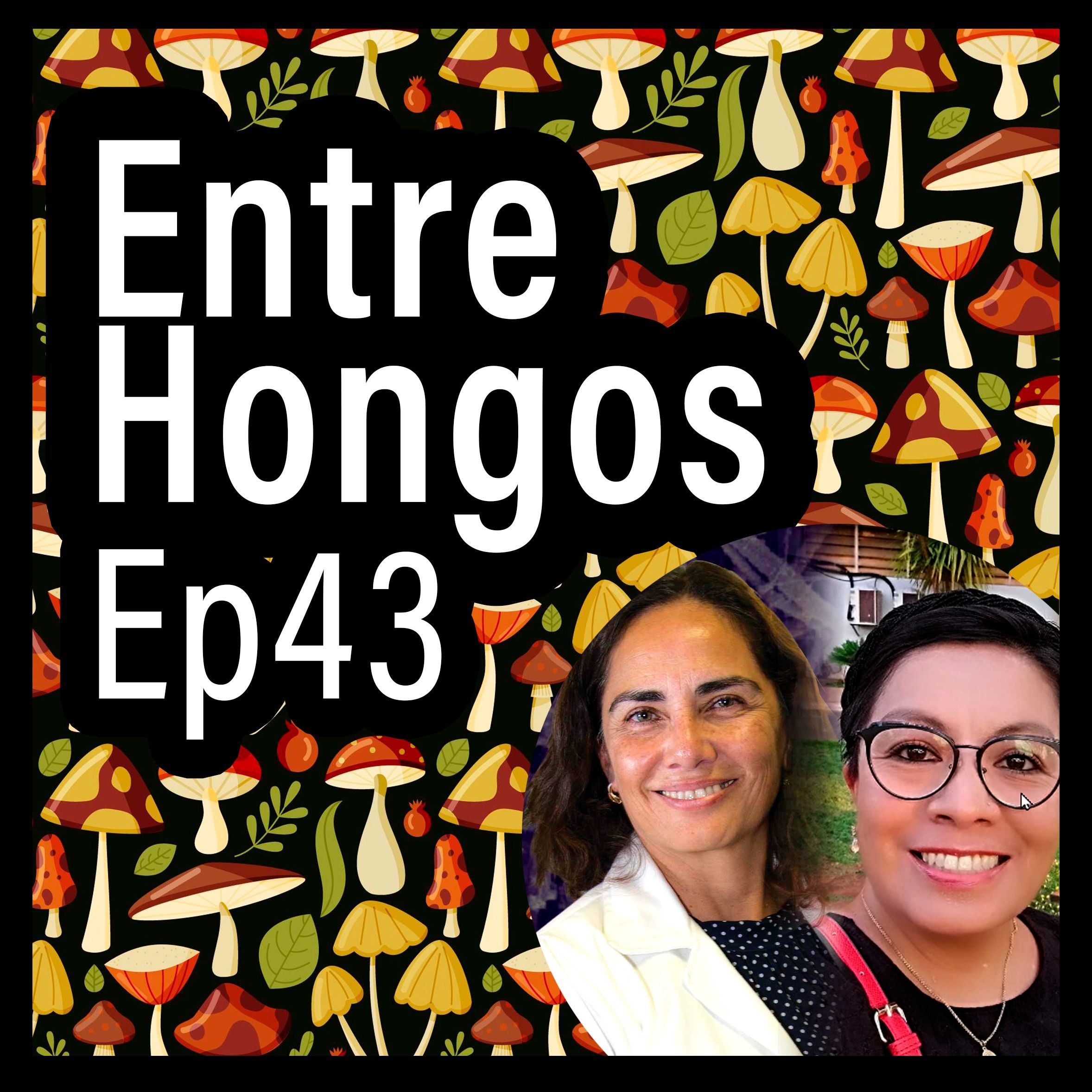 Entre Hongos