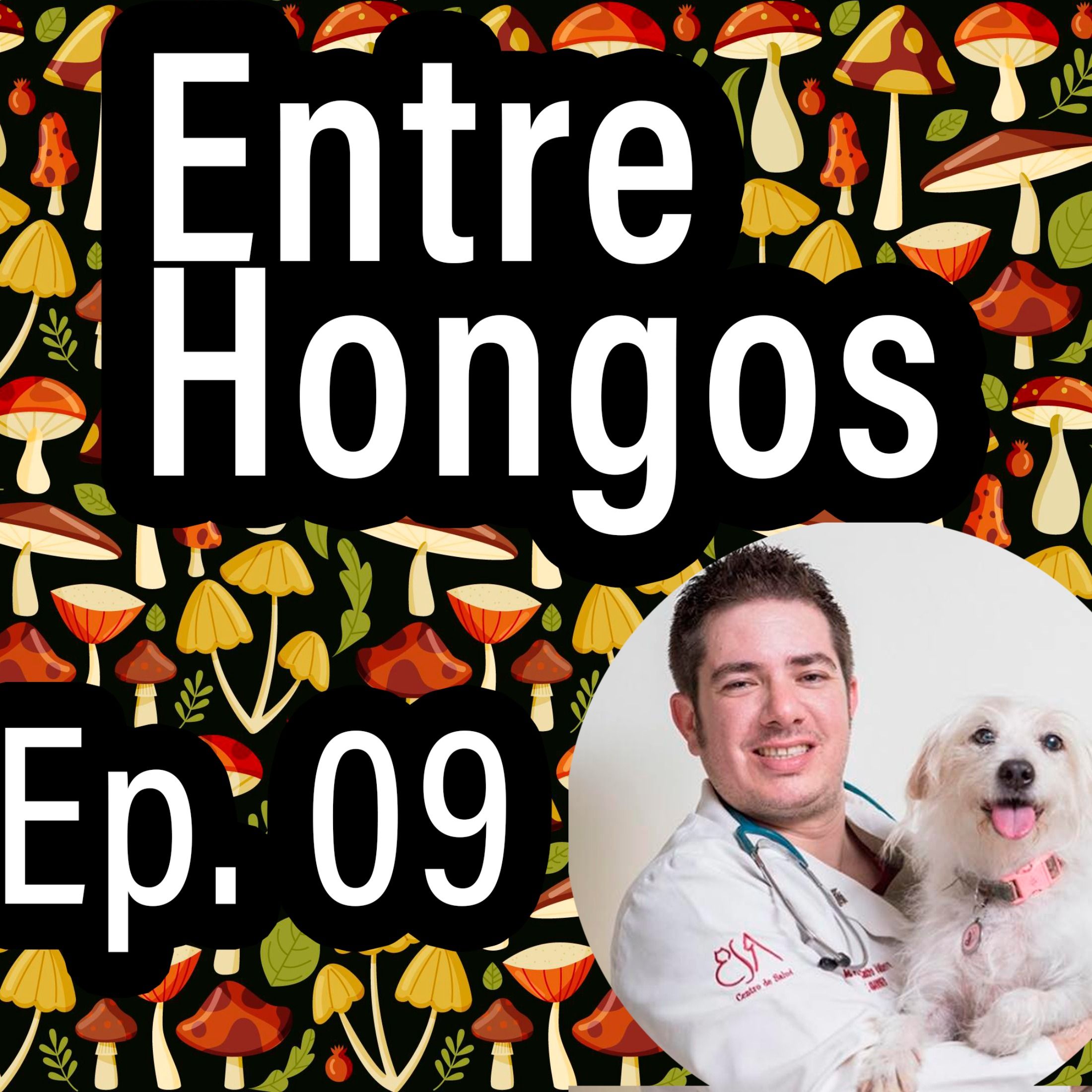 Entre Hongos