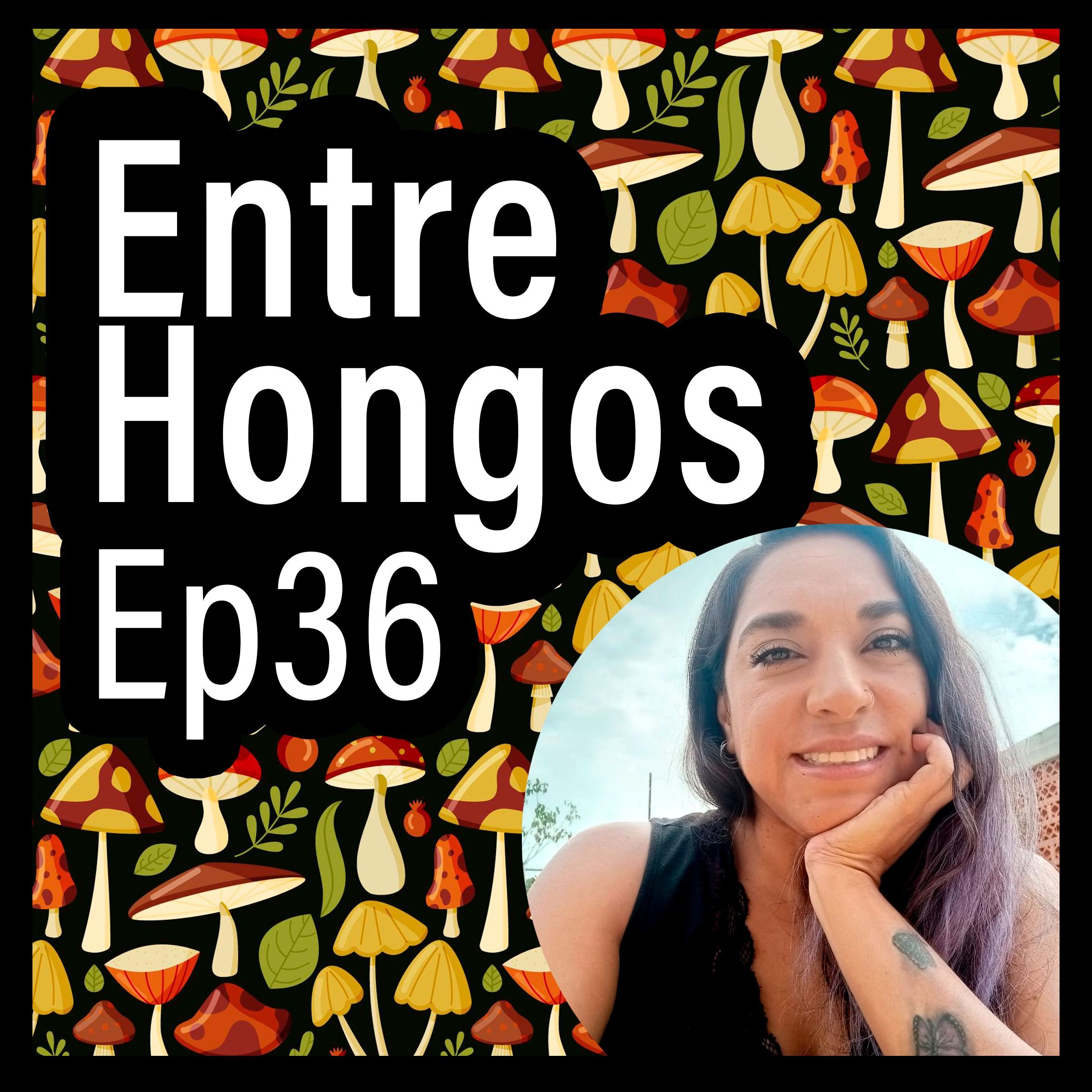 Entre Hongos
