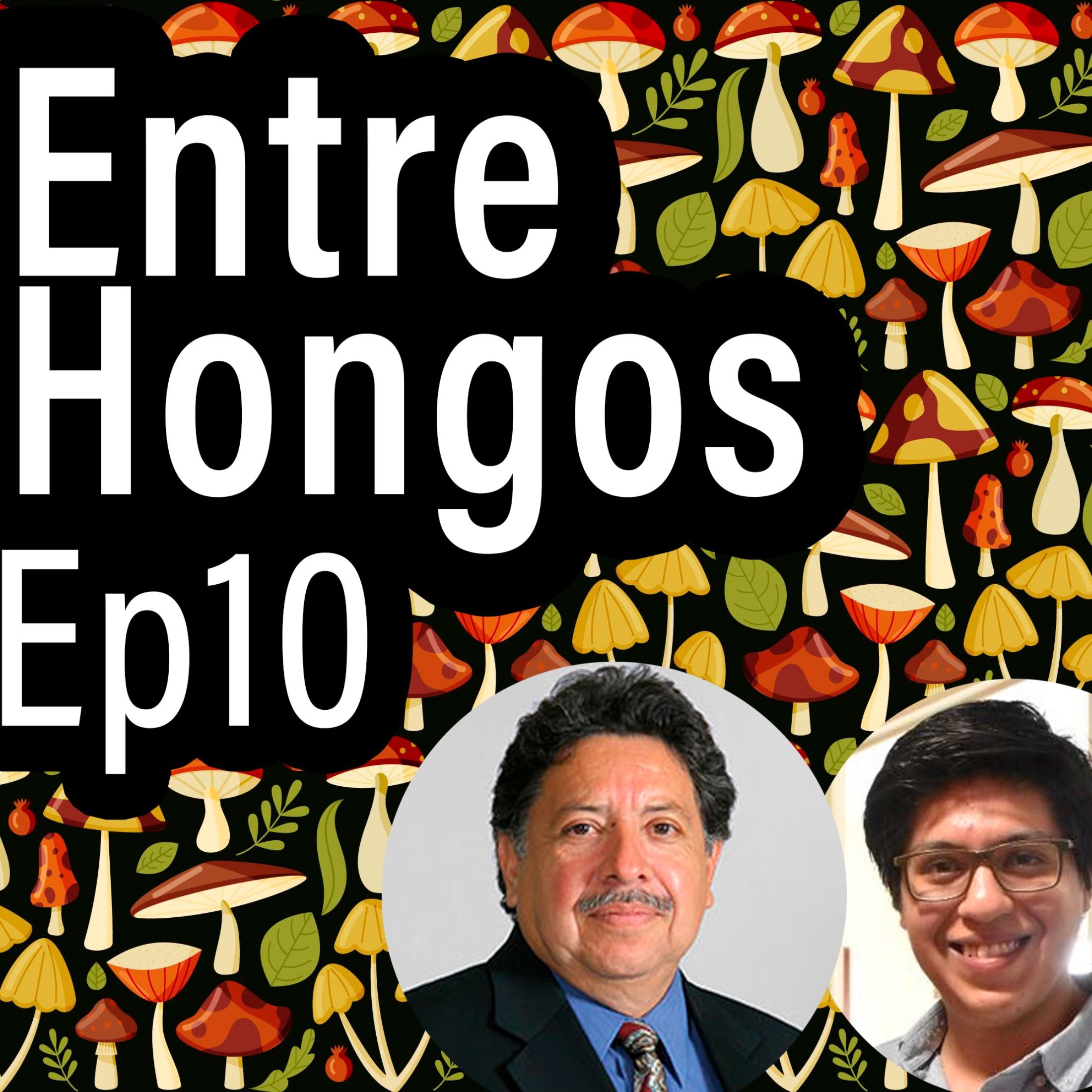 Entre Hongos
