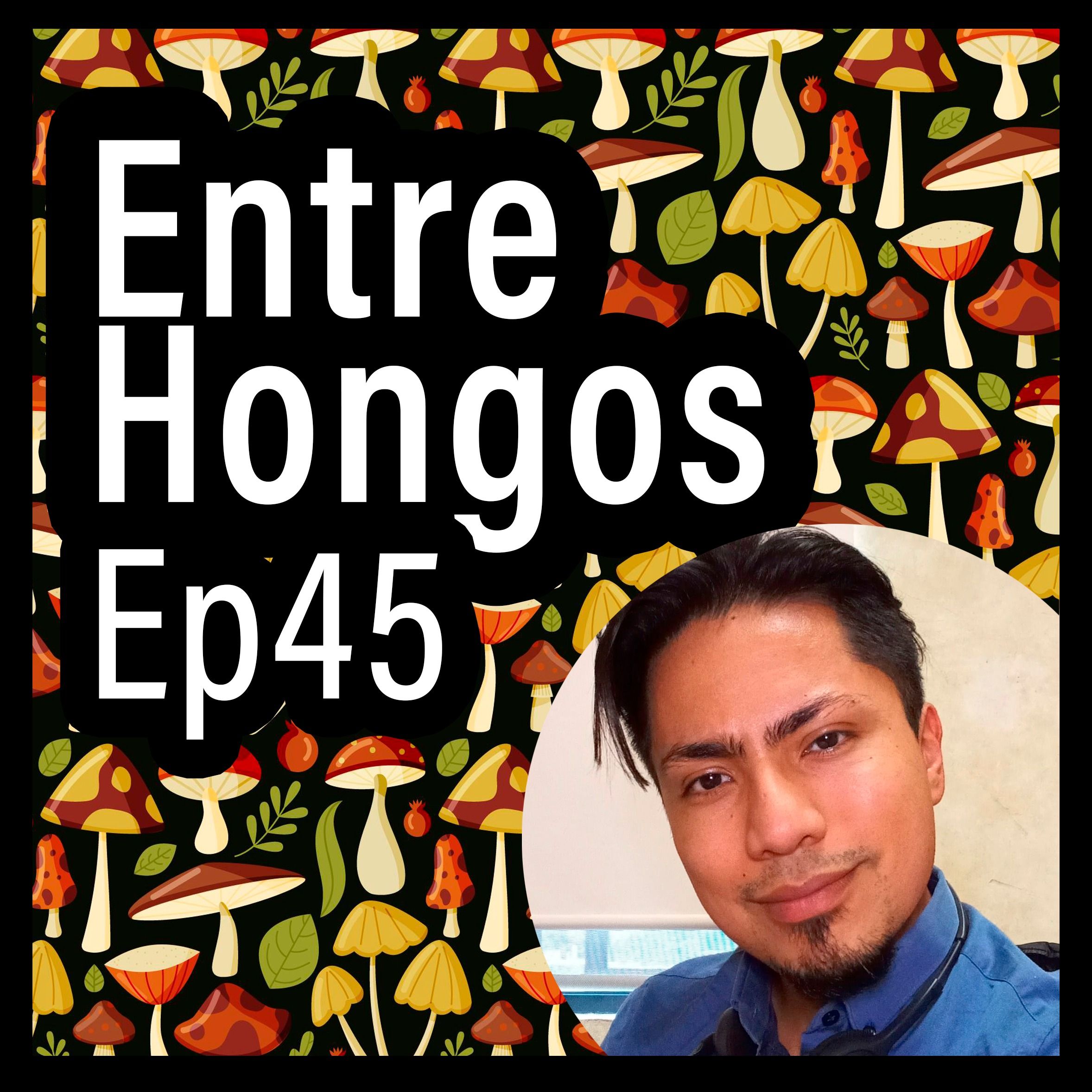 Entre Hongos