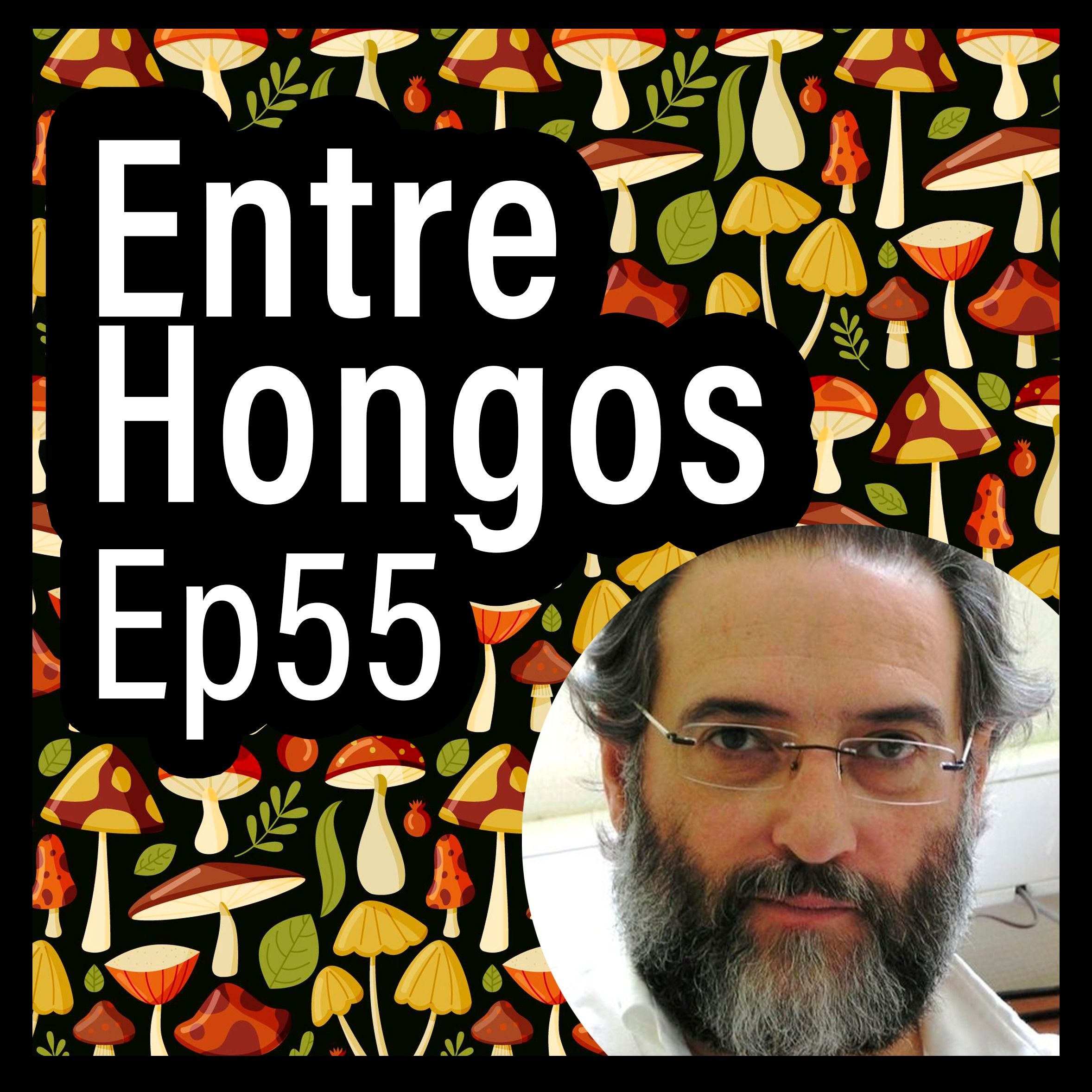 Entre Hongos
