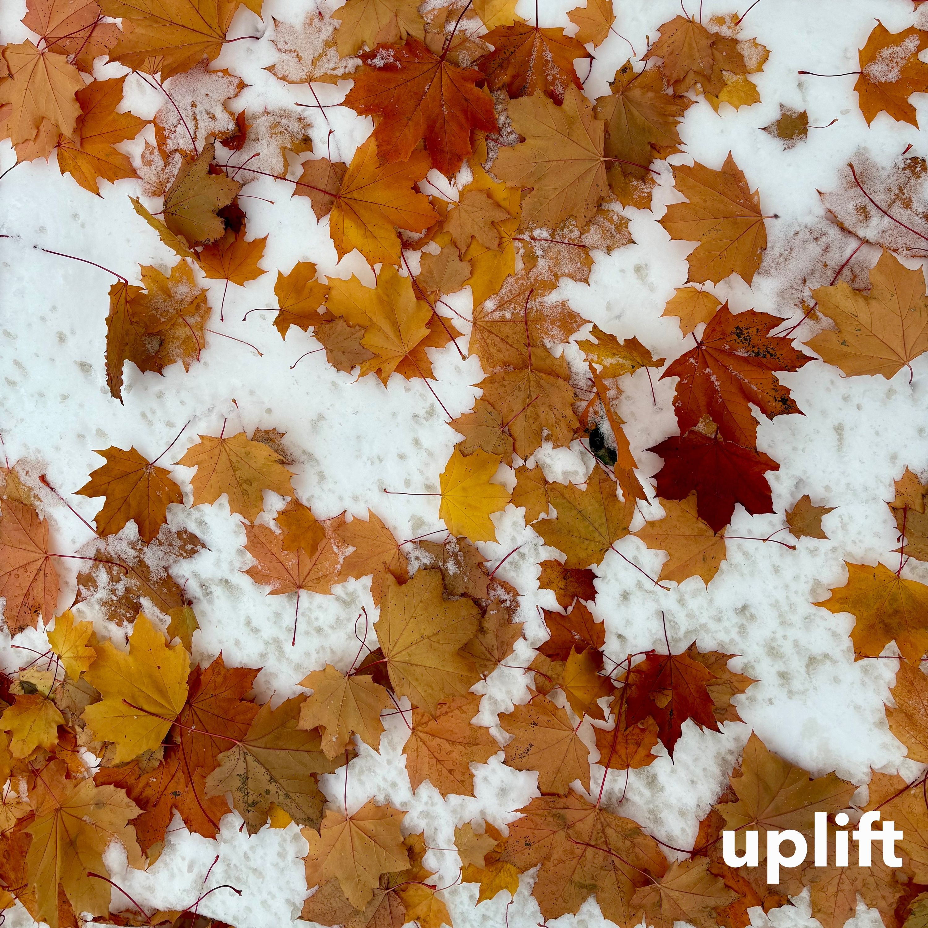 a calm presence - uplift