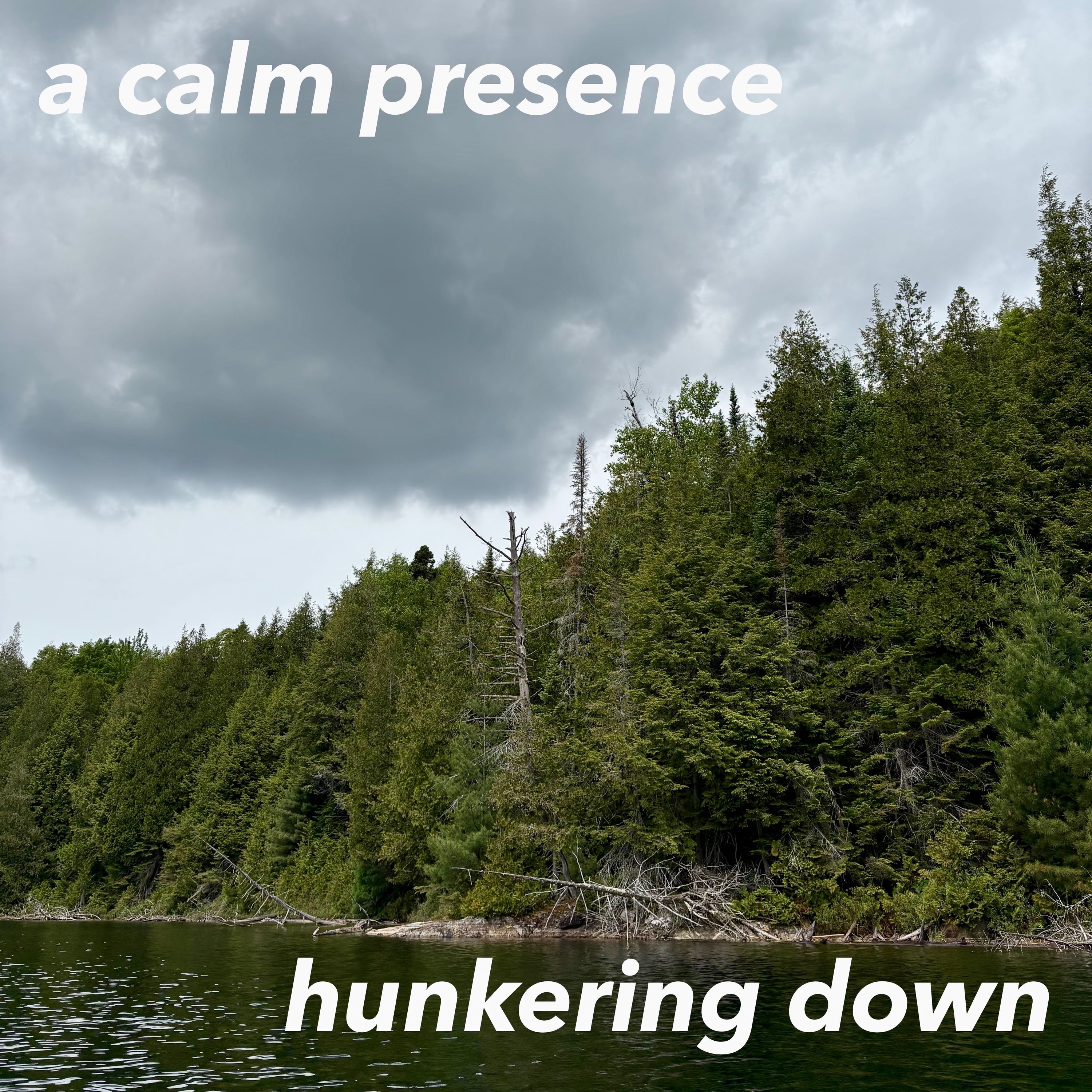 a calm presence - hunkering down