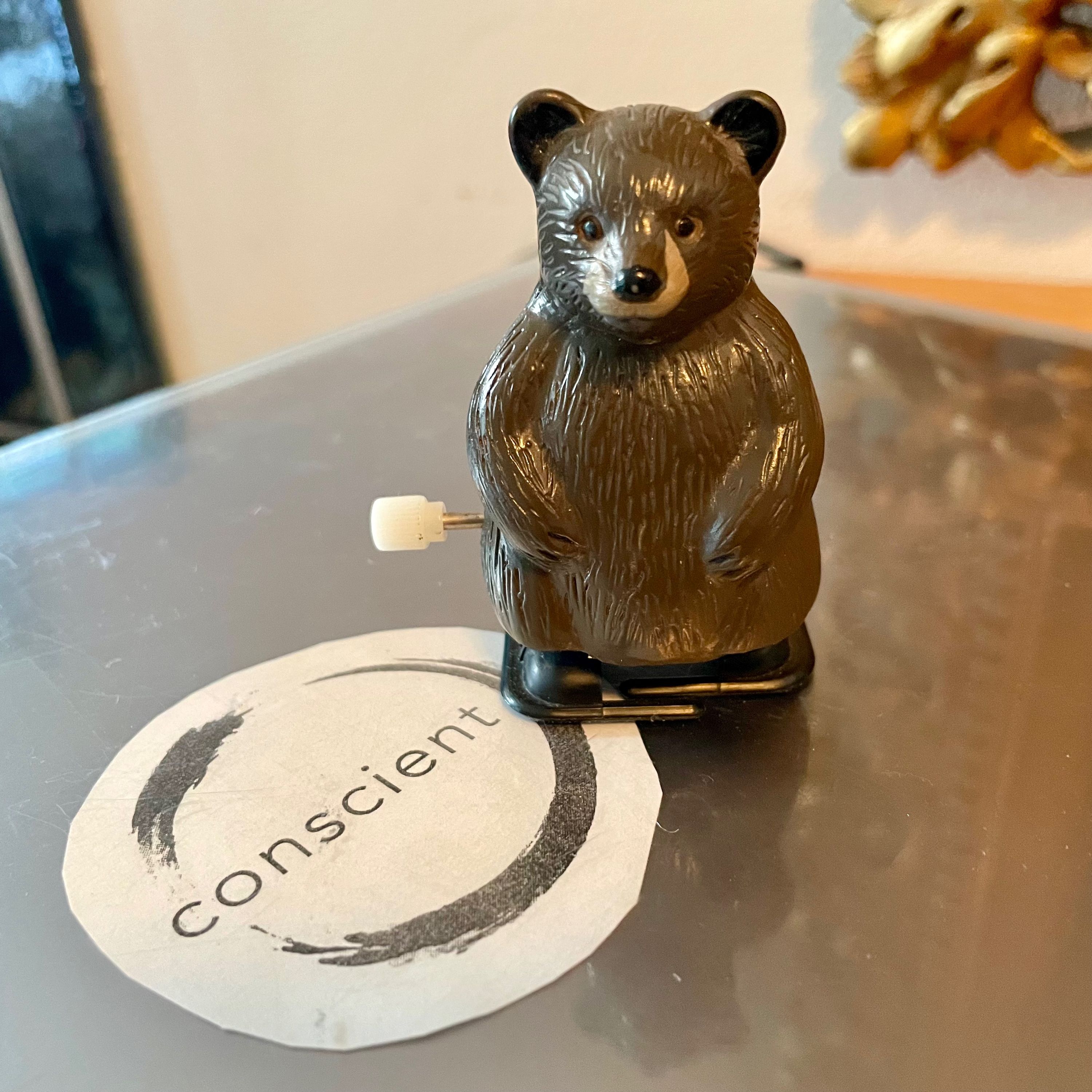 e145 bear - what do you think about grieving our dying planet and sitting with this sadness?