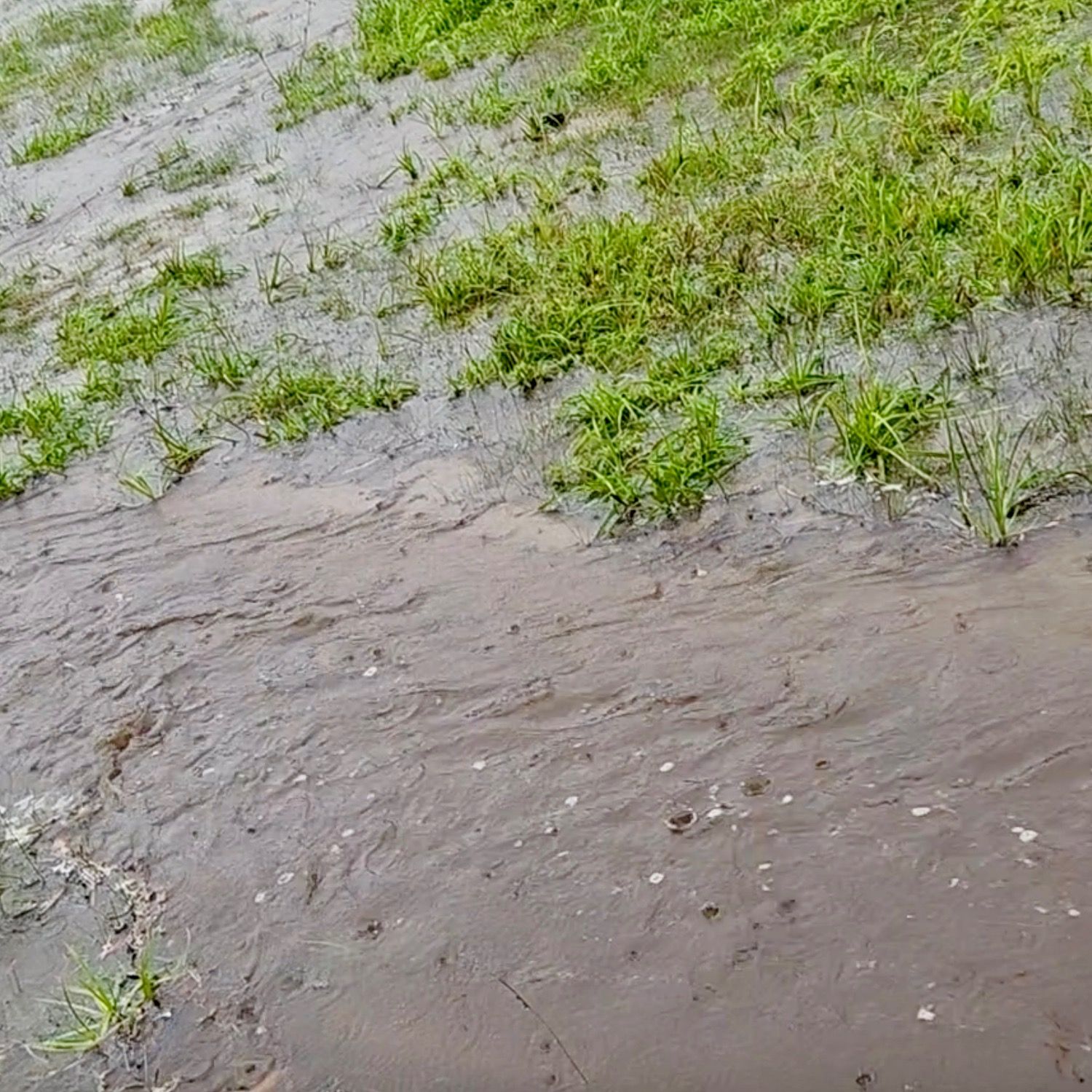 e151 rain - can you hear the sound of catastrophe in the rain and thunder?