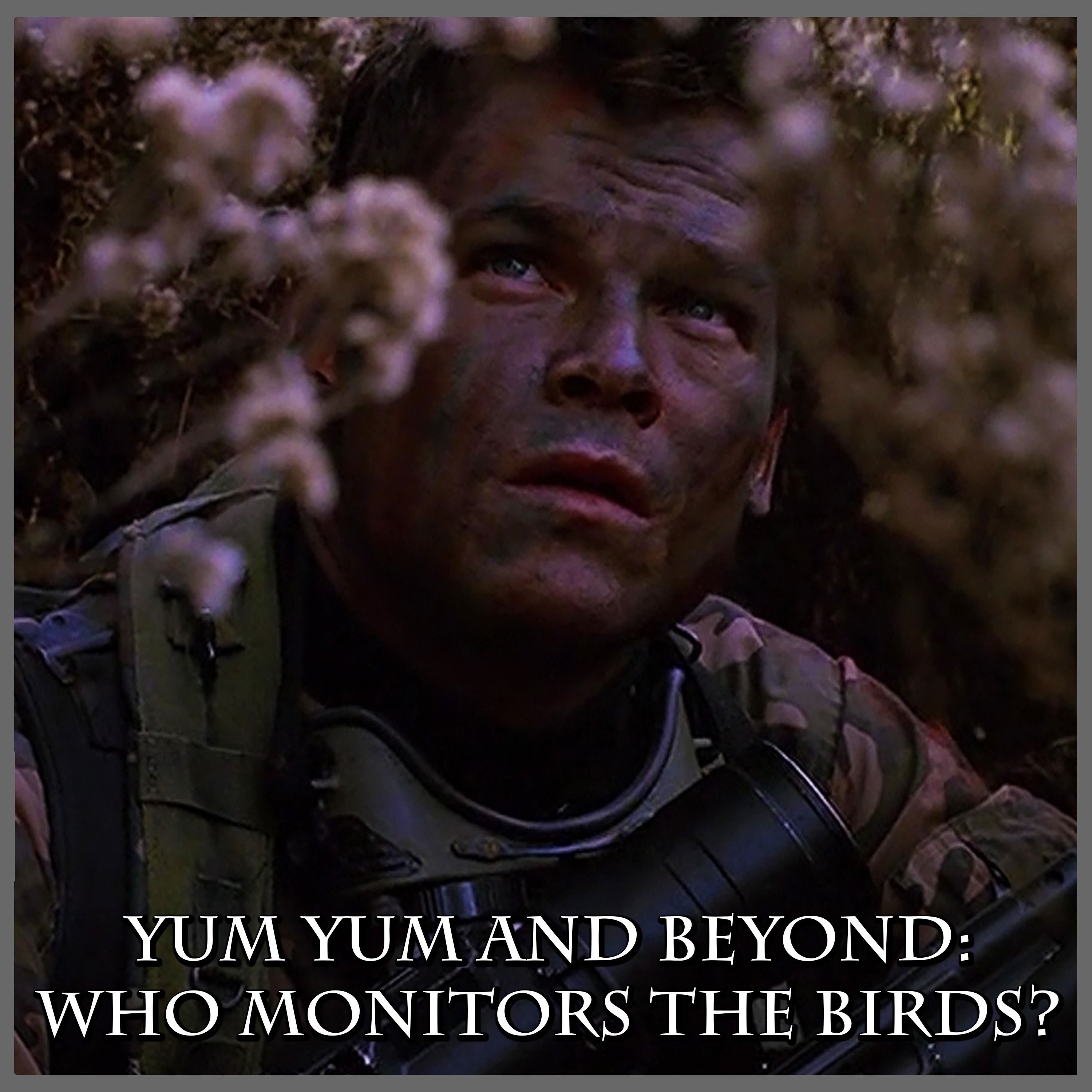 Yum Yum and Beyond: Who Monitors the Birds? | Space: Above and Beyond | Review episode artwork