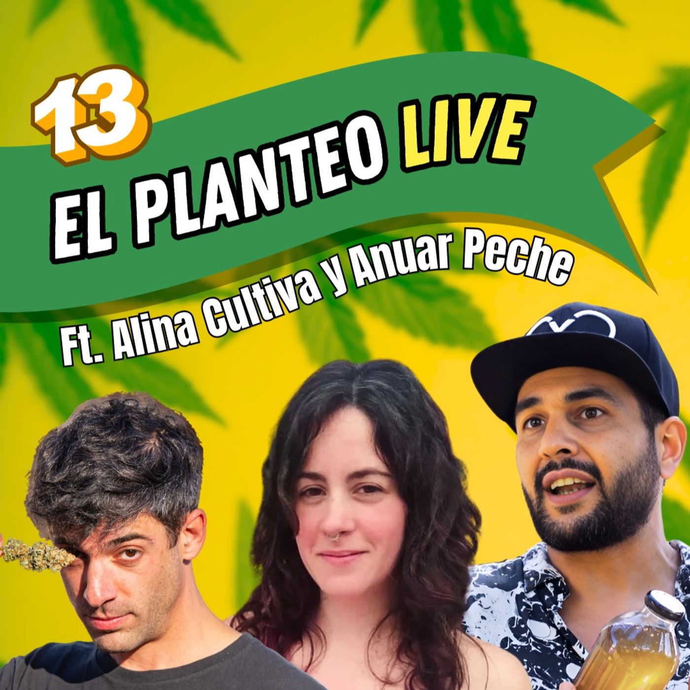 El Planteo - Noticias y Especiales