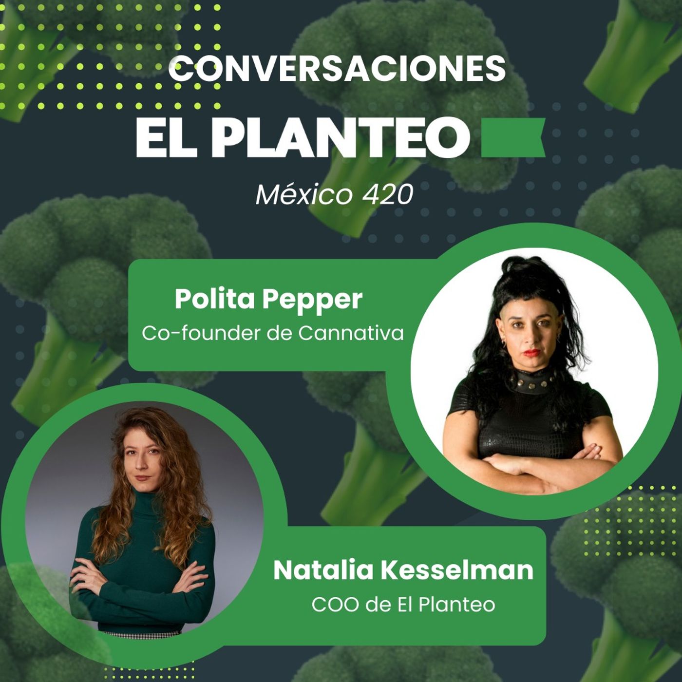 El Planteo - Noticias y Especiales