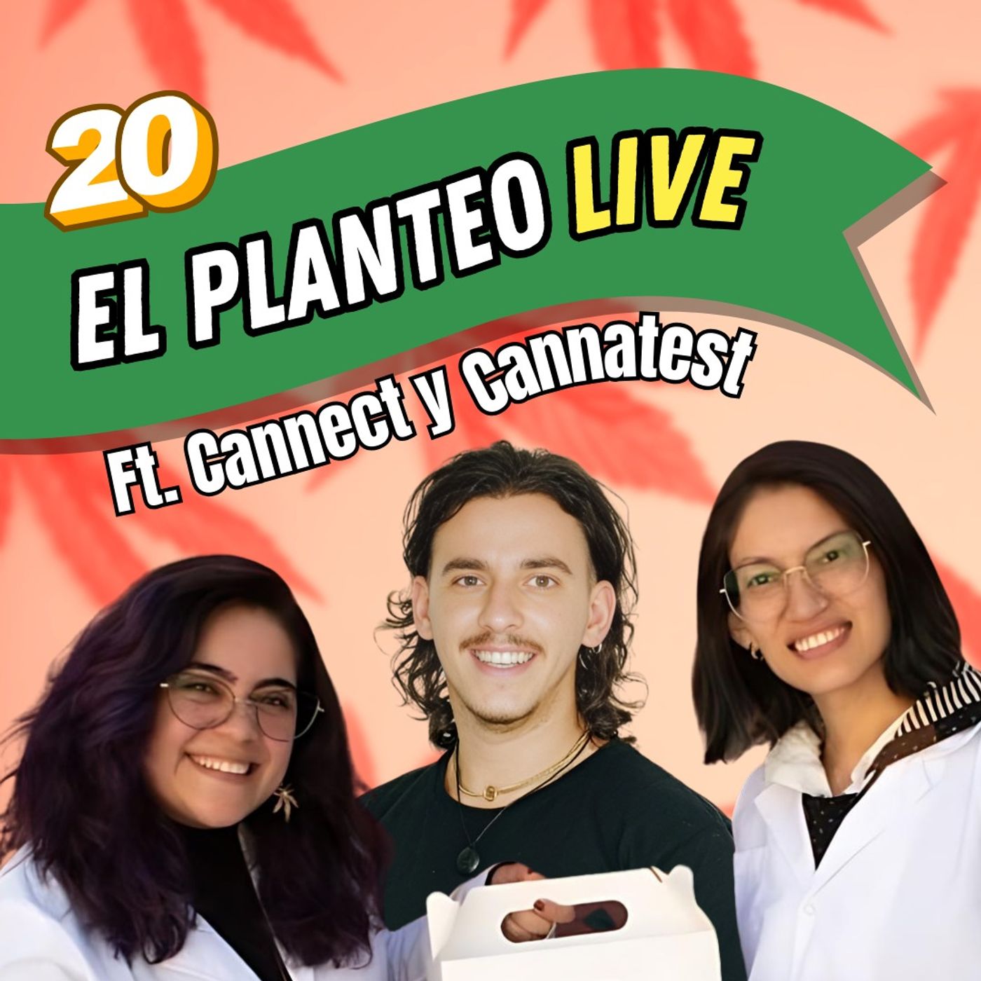El Planteo - Noticias y Especiales