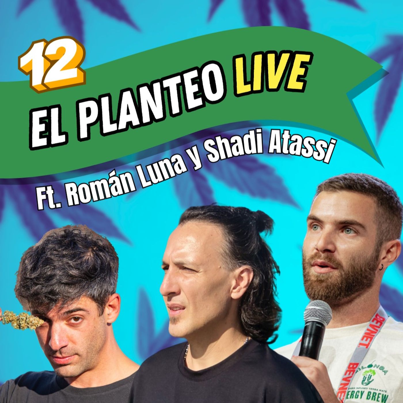 El Planteo - Noticias y Especiales