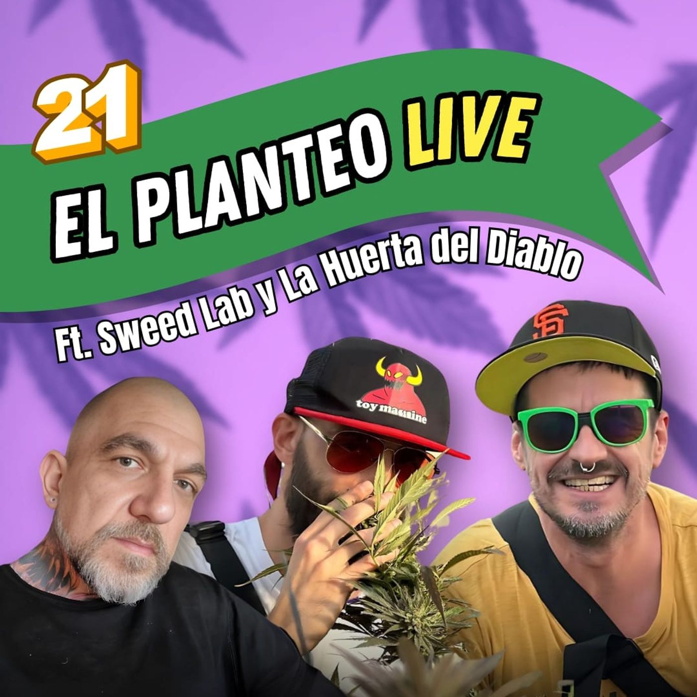 El Planteo - Noticias y Especiales