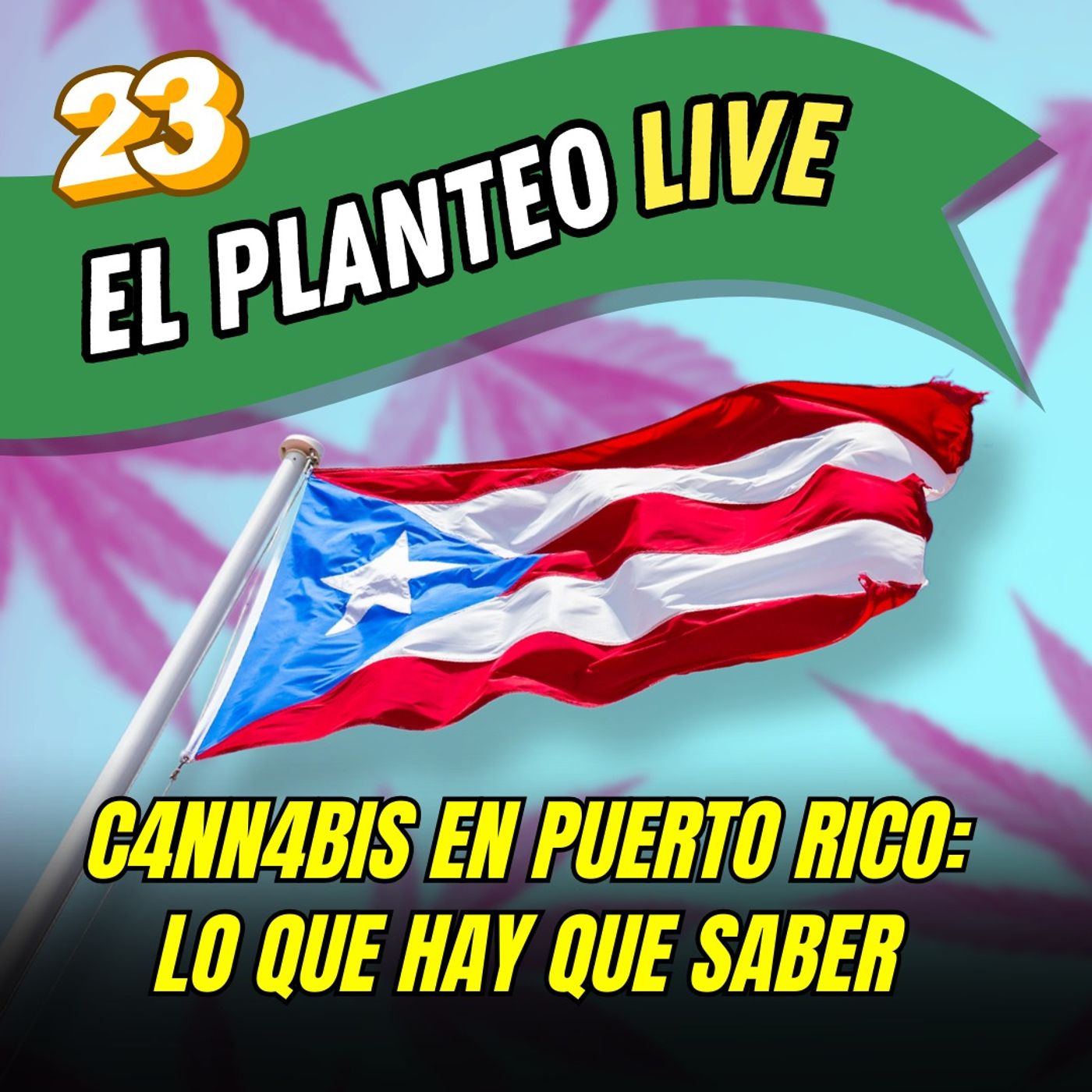 El Planteo - Noticias y Especiales