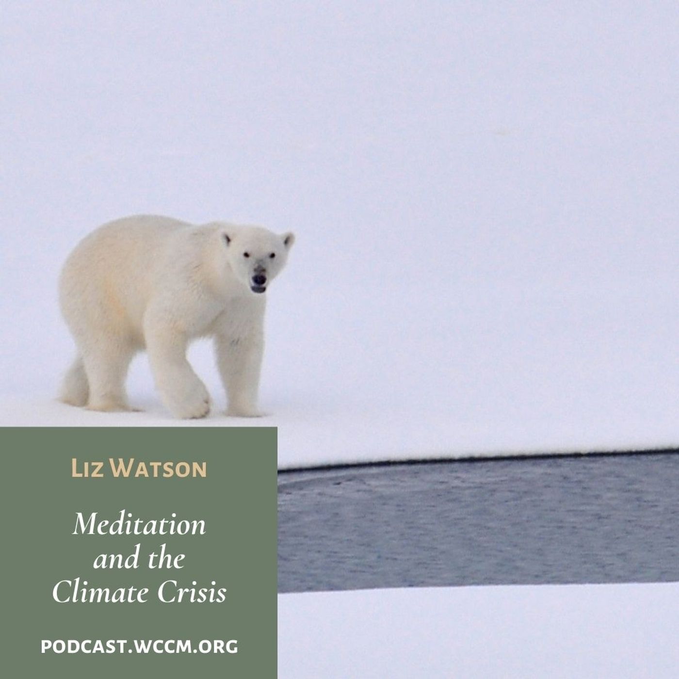 Meditation and  the Climate Crisis