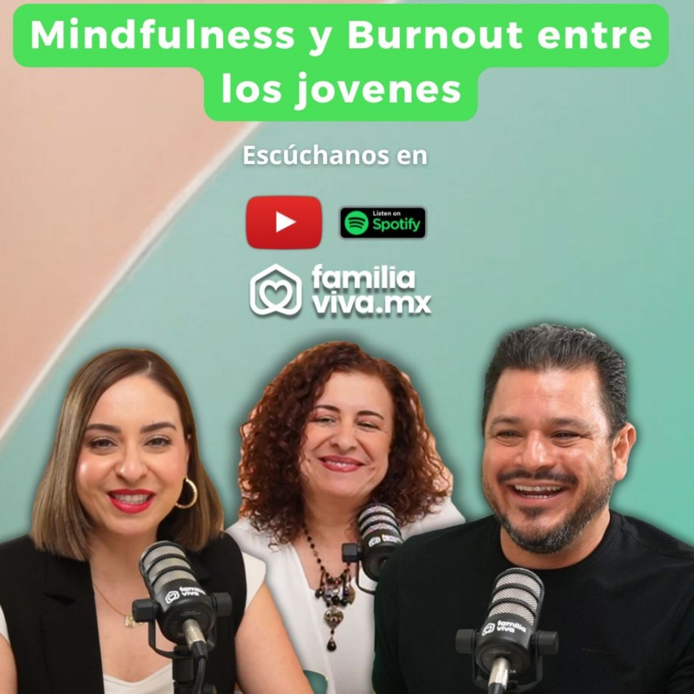 Mindfulness y Burnout entre los Jóvenes
