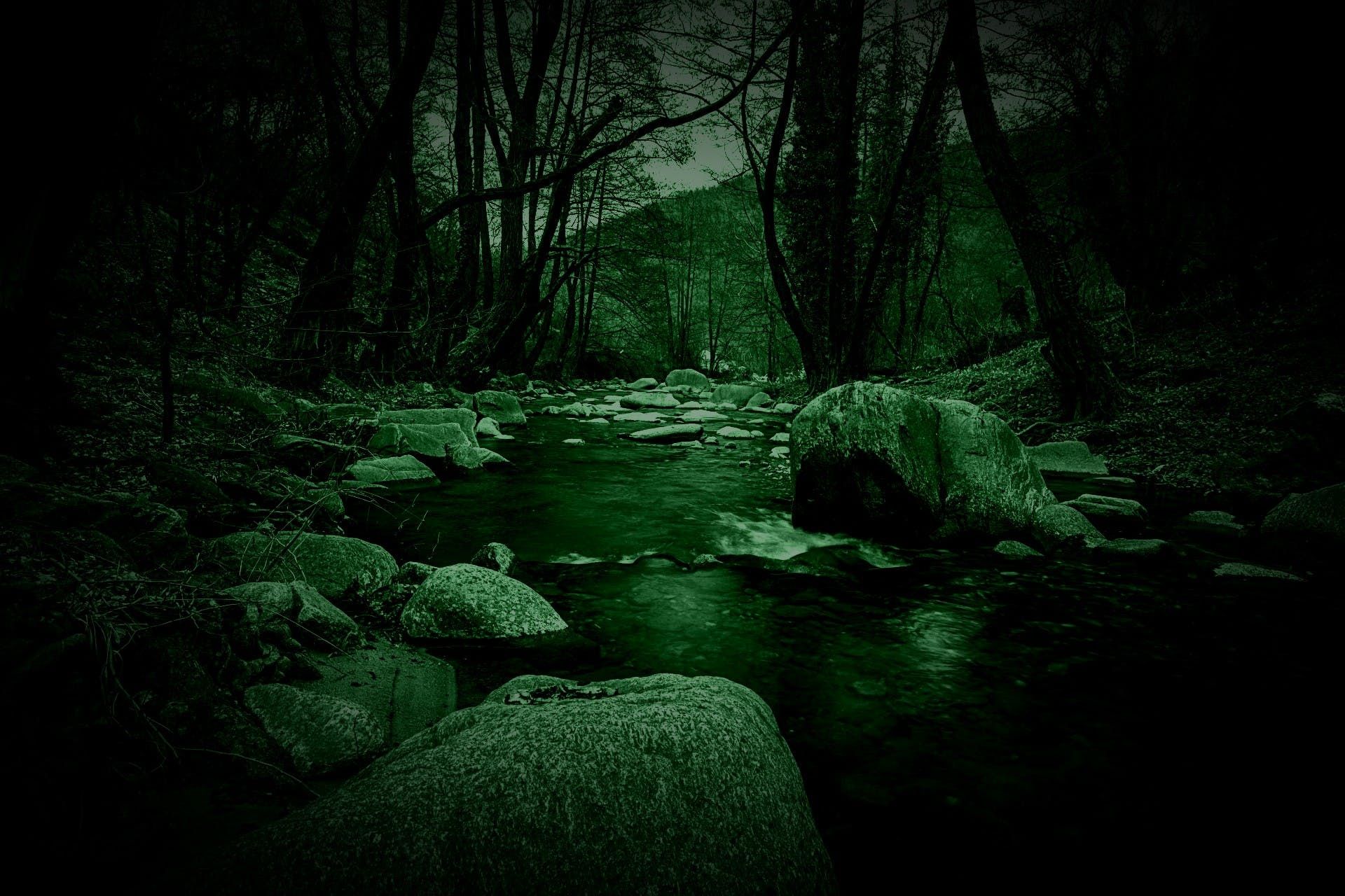 The Creepy Side of NEPA: The Experience Behind A New Paranormal Group