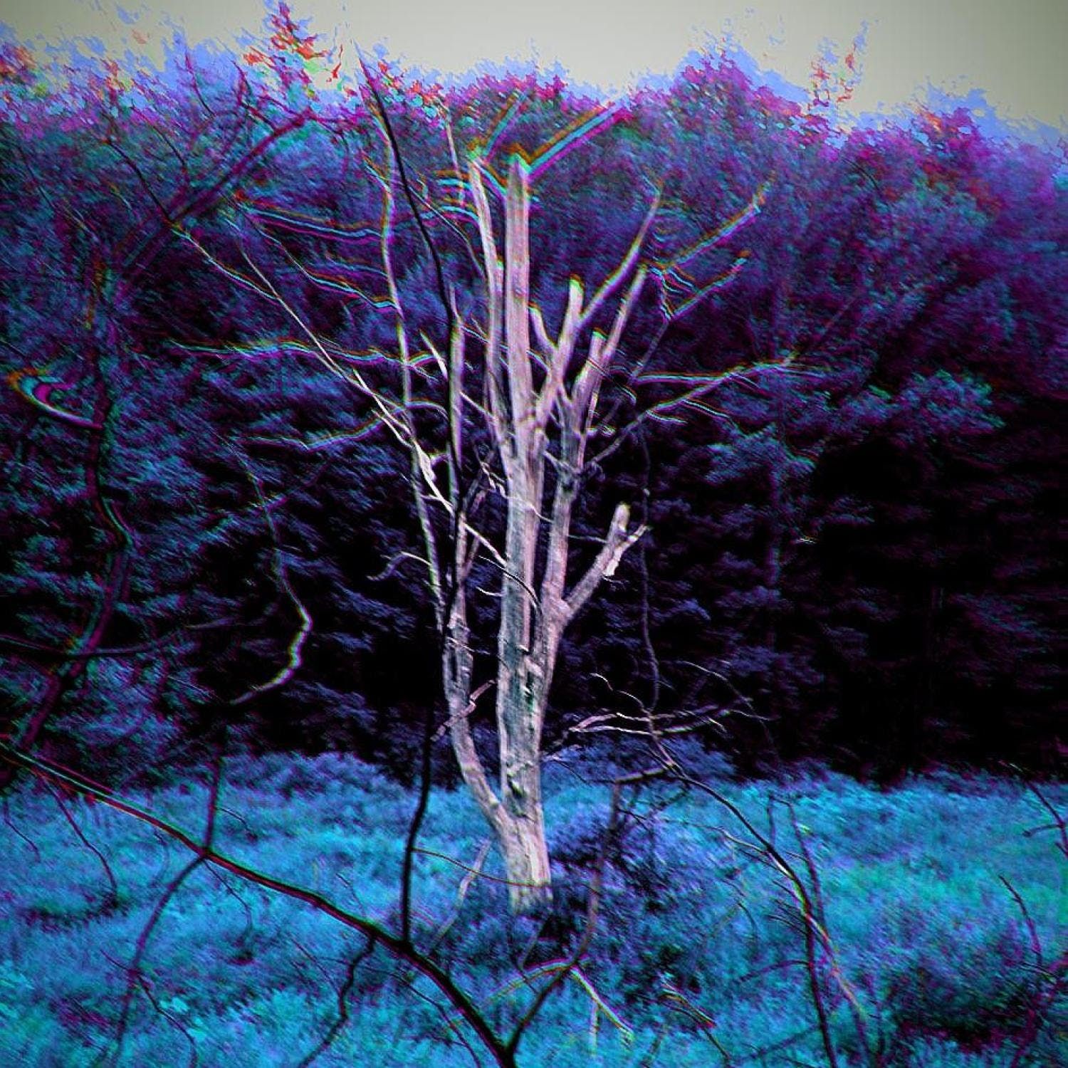 The Creepy Side of NEPA: PA Folktales, Legends, and Folklore