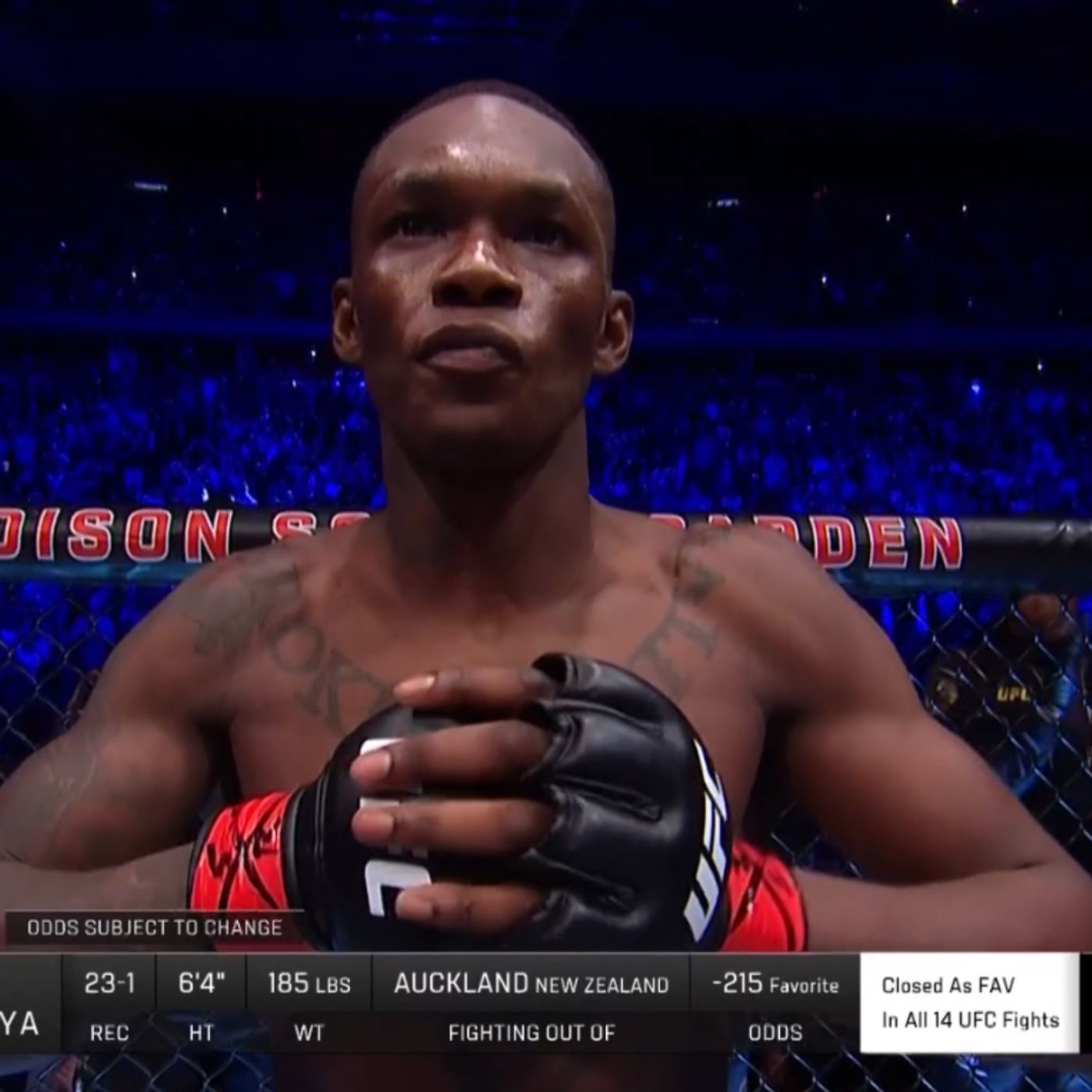 The Fight Site Podcast Network