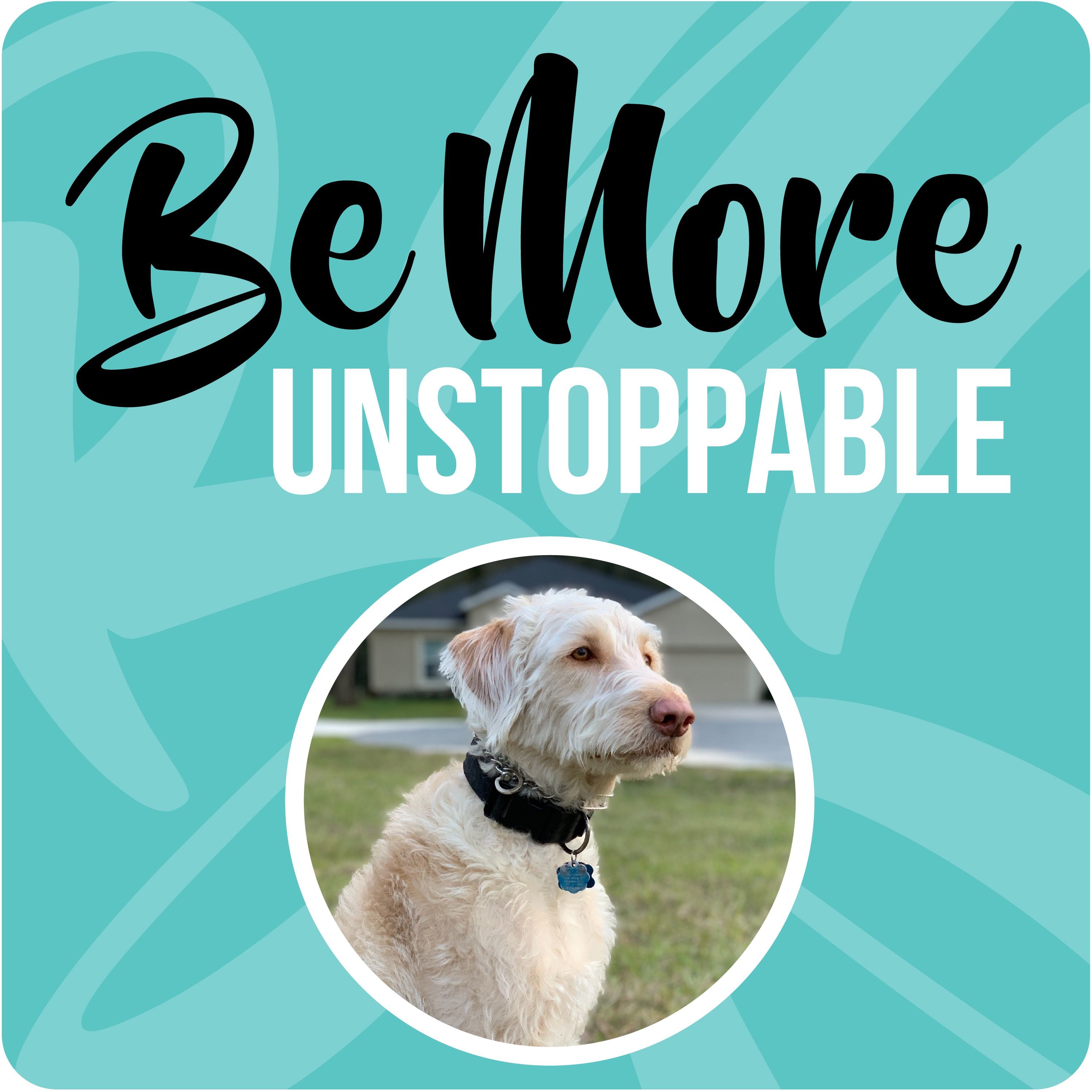 Be More Unstoppable