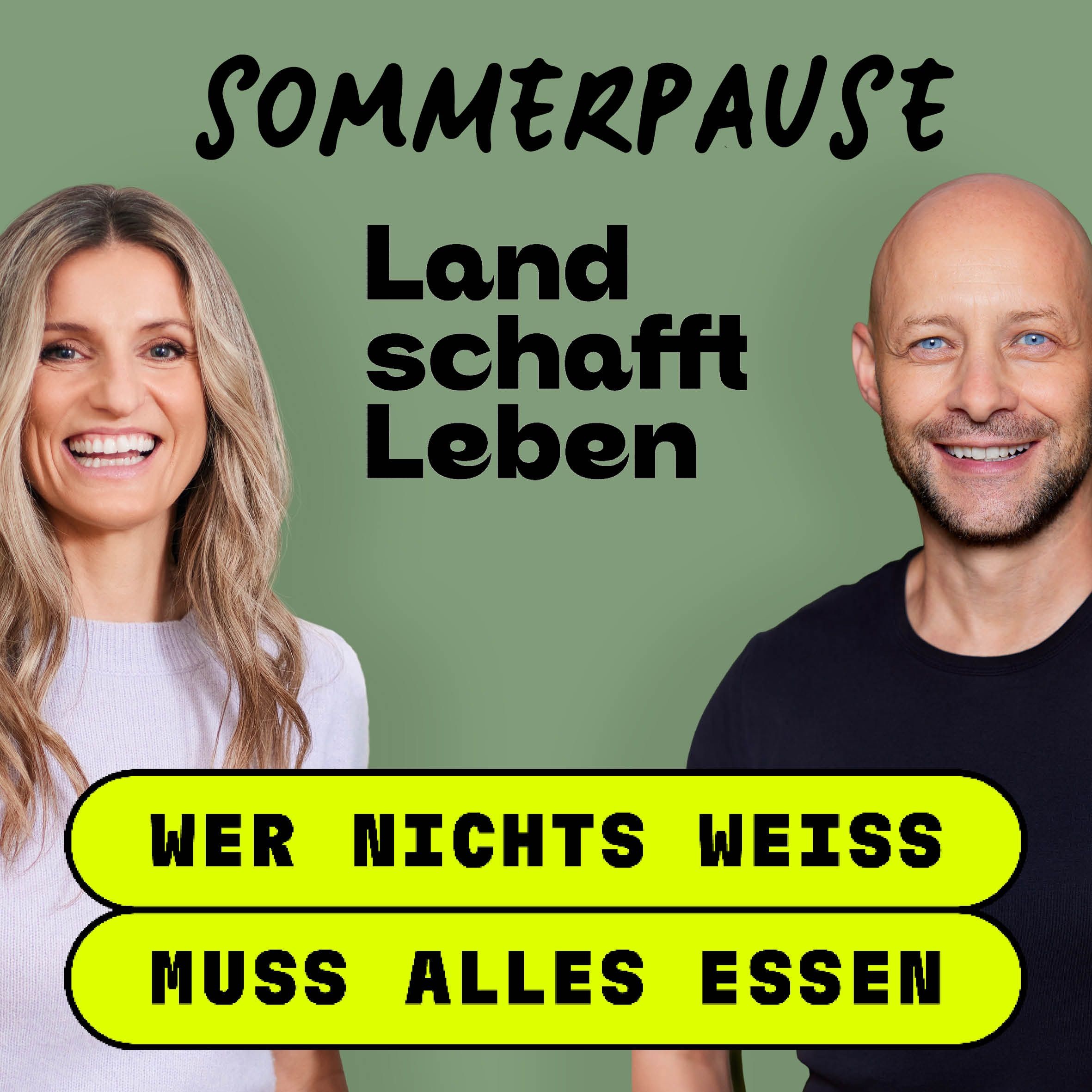 Sommer-Update | Deine Meinung zählt!