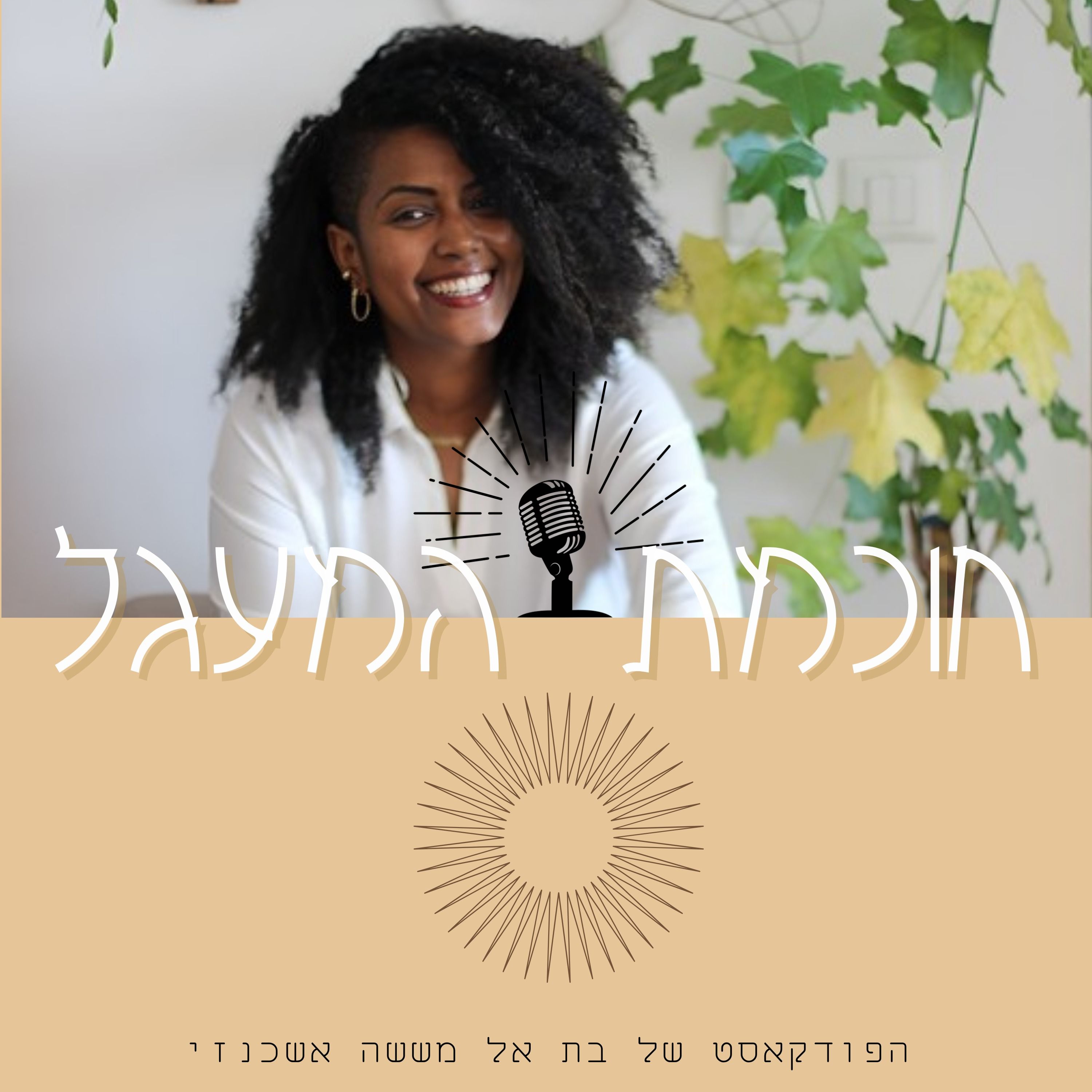 חוכמת המעגל